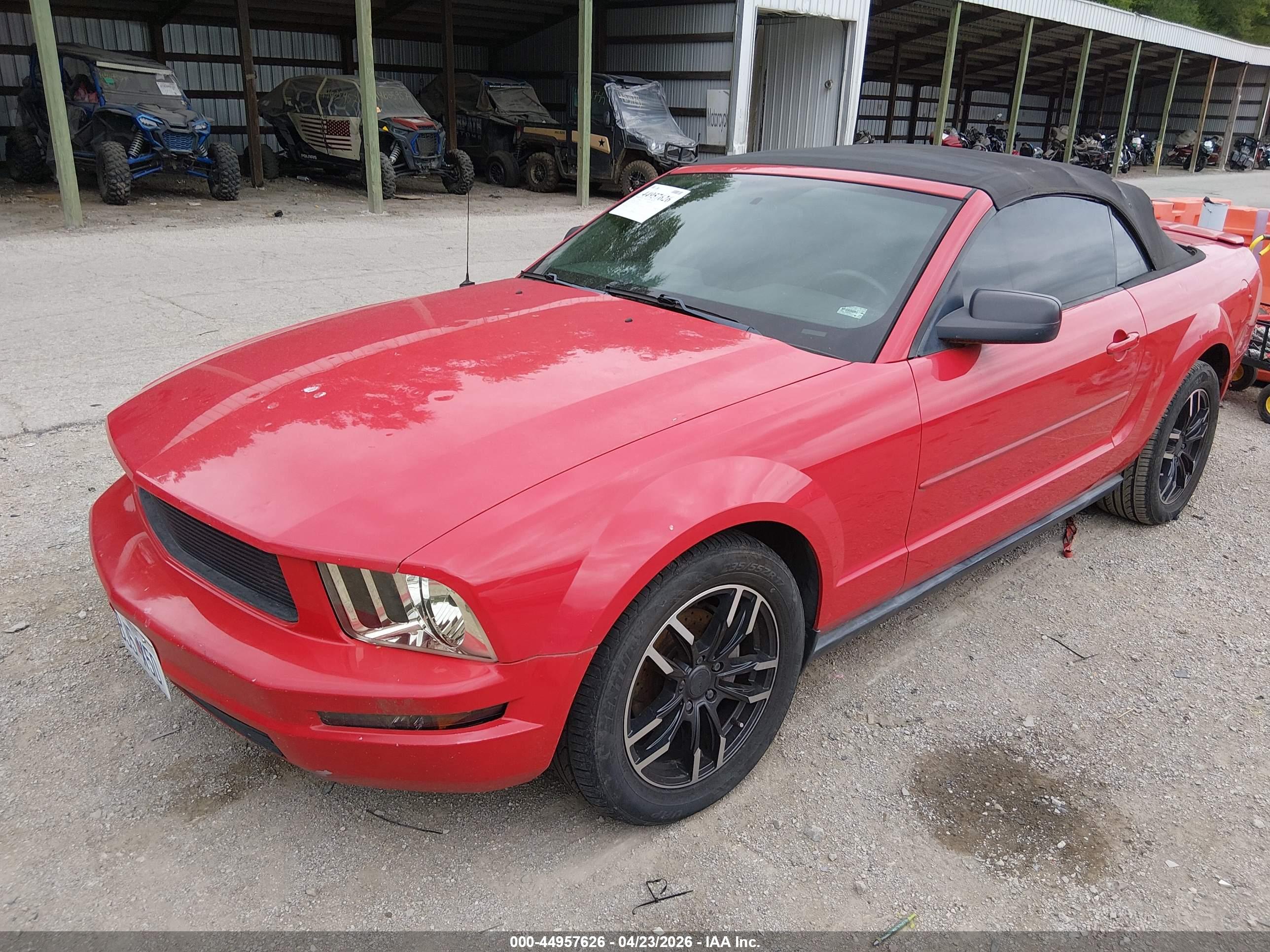 FORD MUSTANG image 6