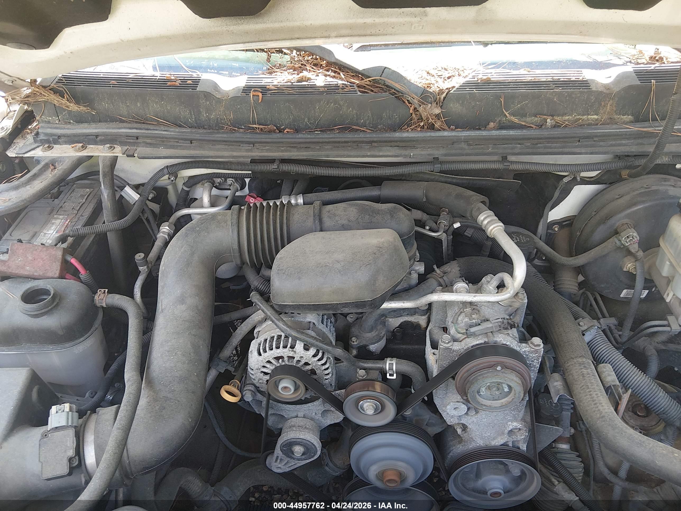 CHEVROLET SILVERADO image 10