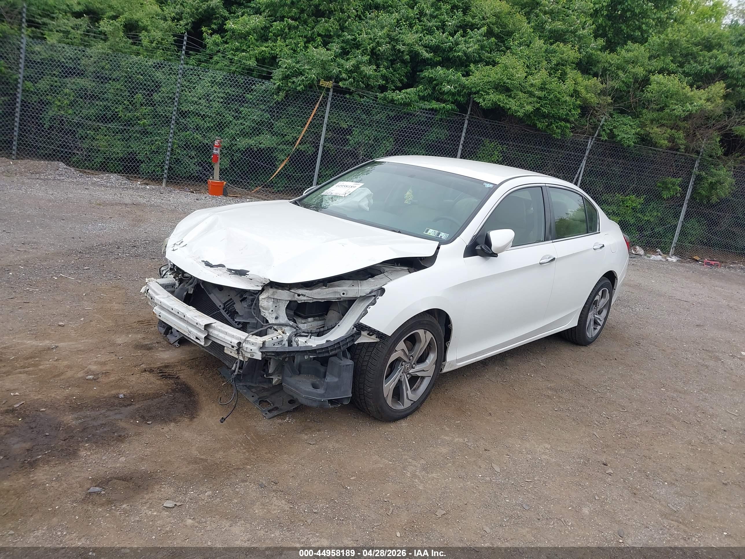 HONDA ACCORD image 2