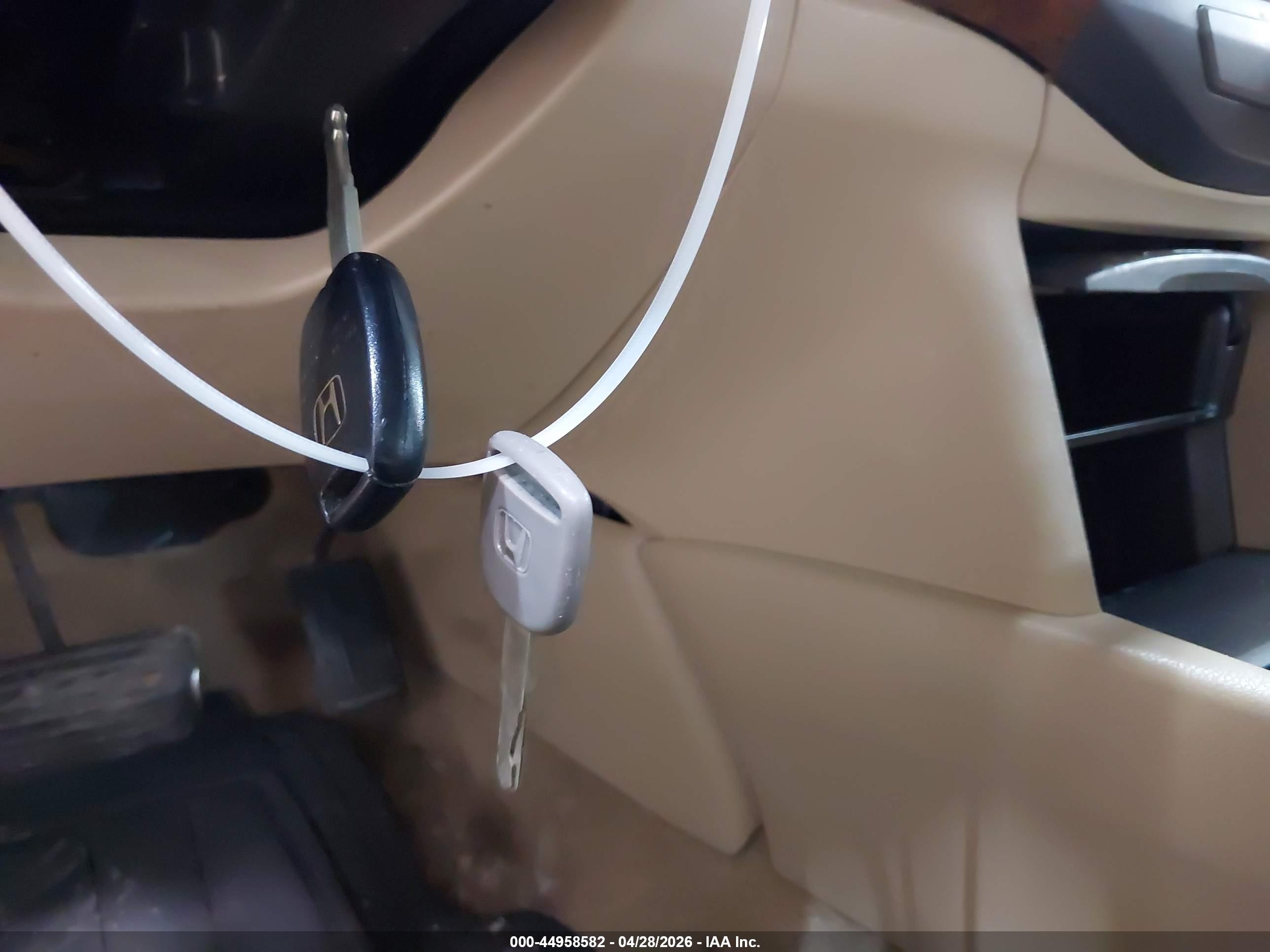 HONDA ACCORD image 11