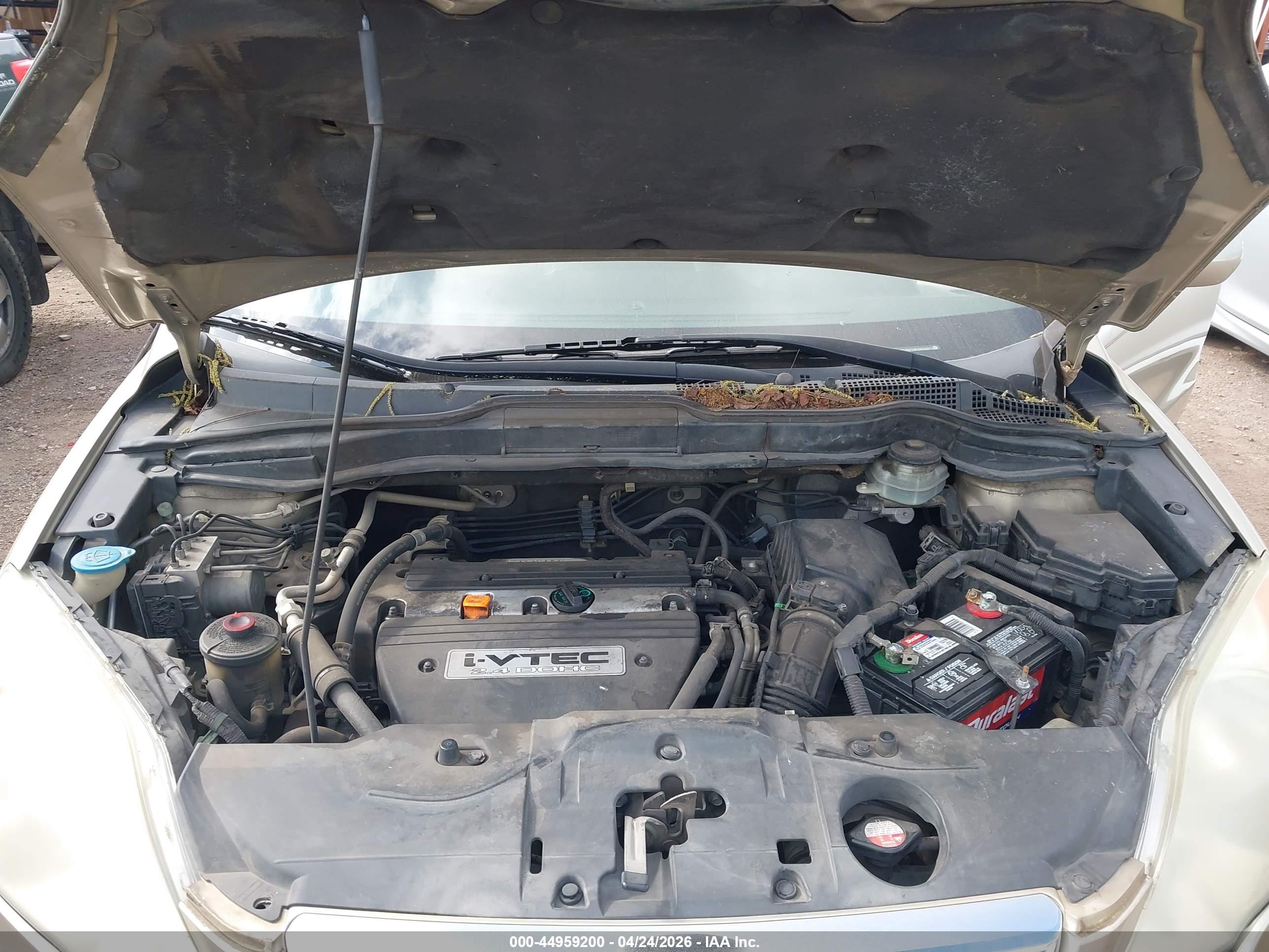 HONDA CR-V image 10