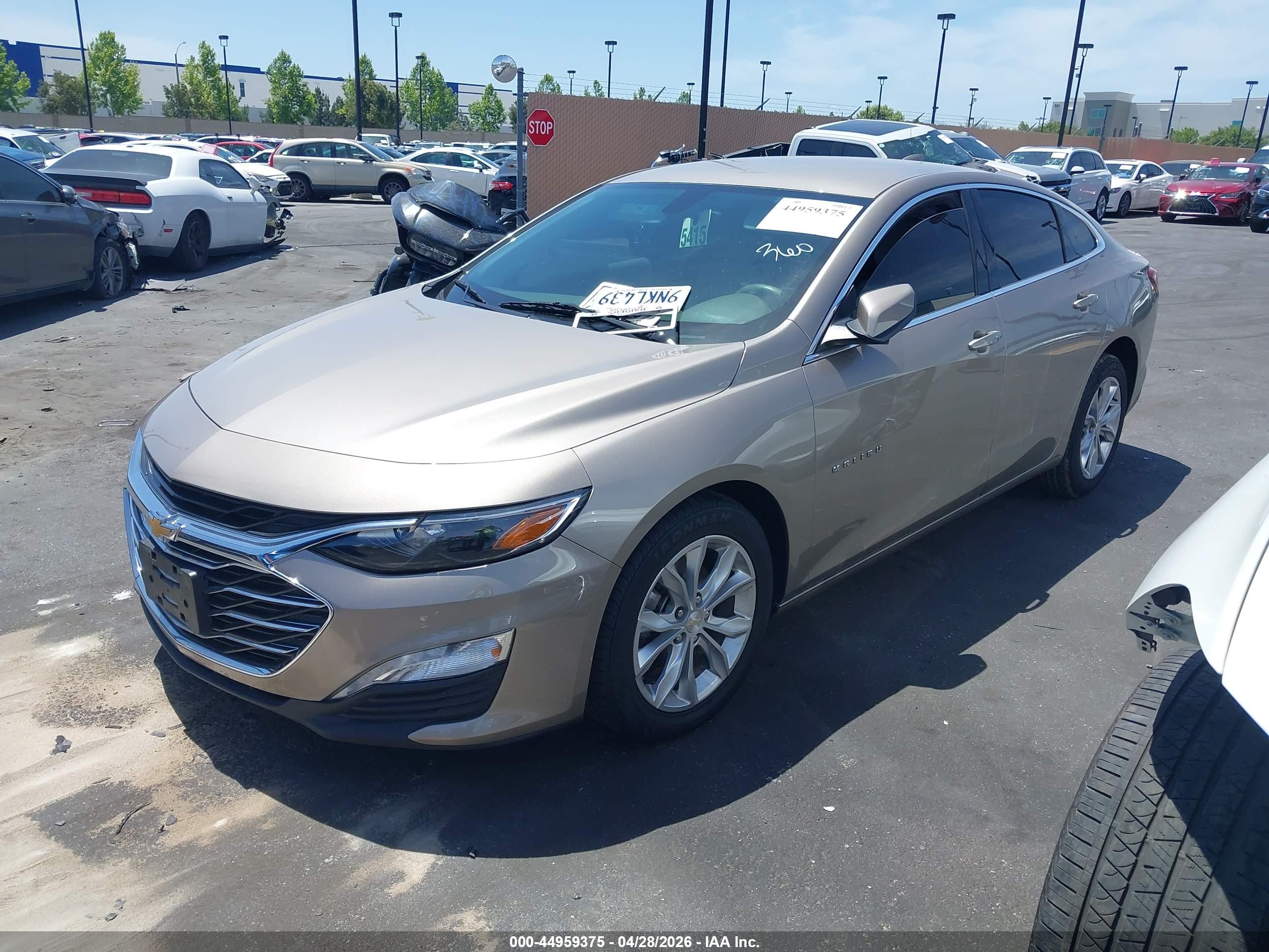 CHEVROLET MALIBU image 2