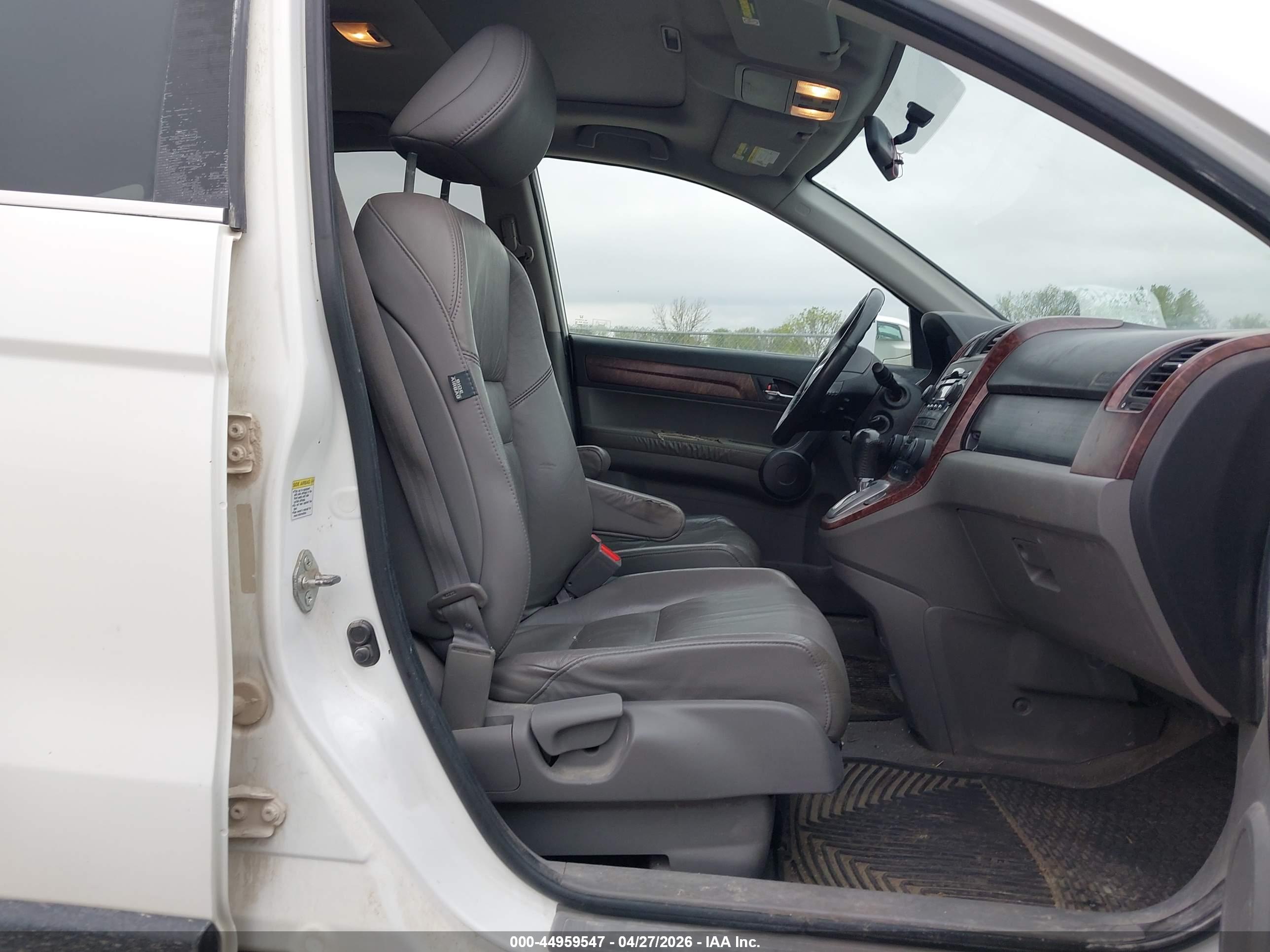 HONDA CR-V image 5