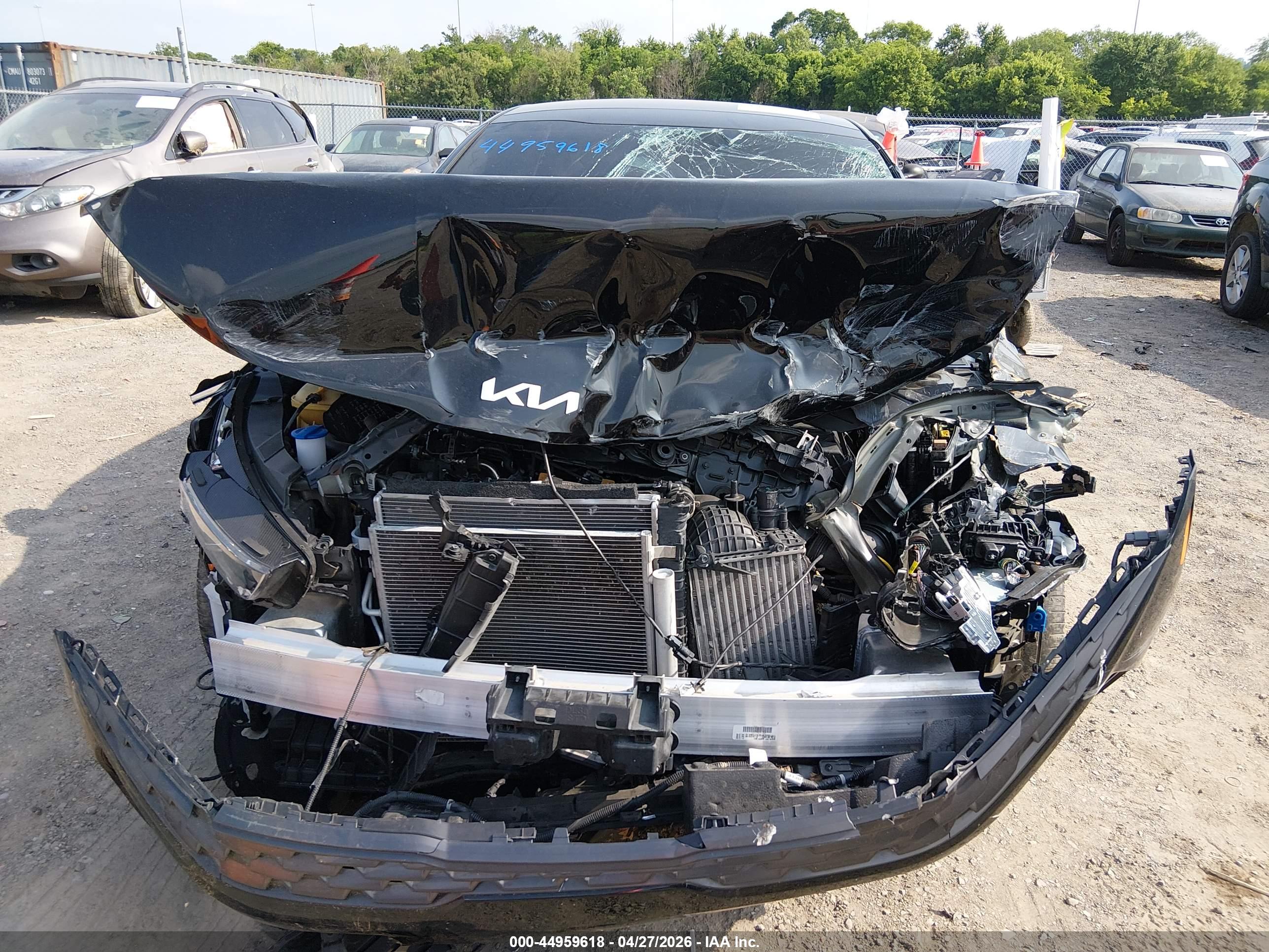KIA K5 image 6