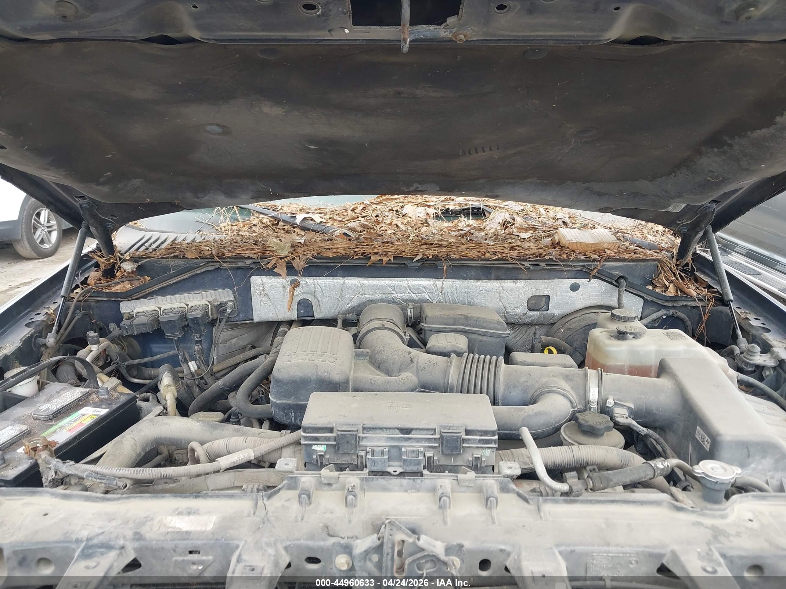 FORD EXPEDITION image 10