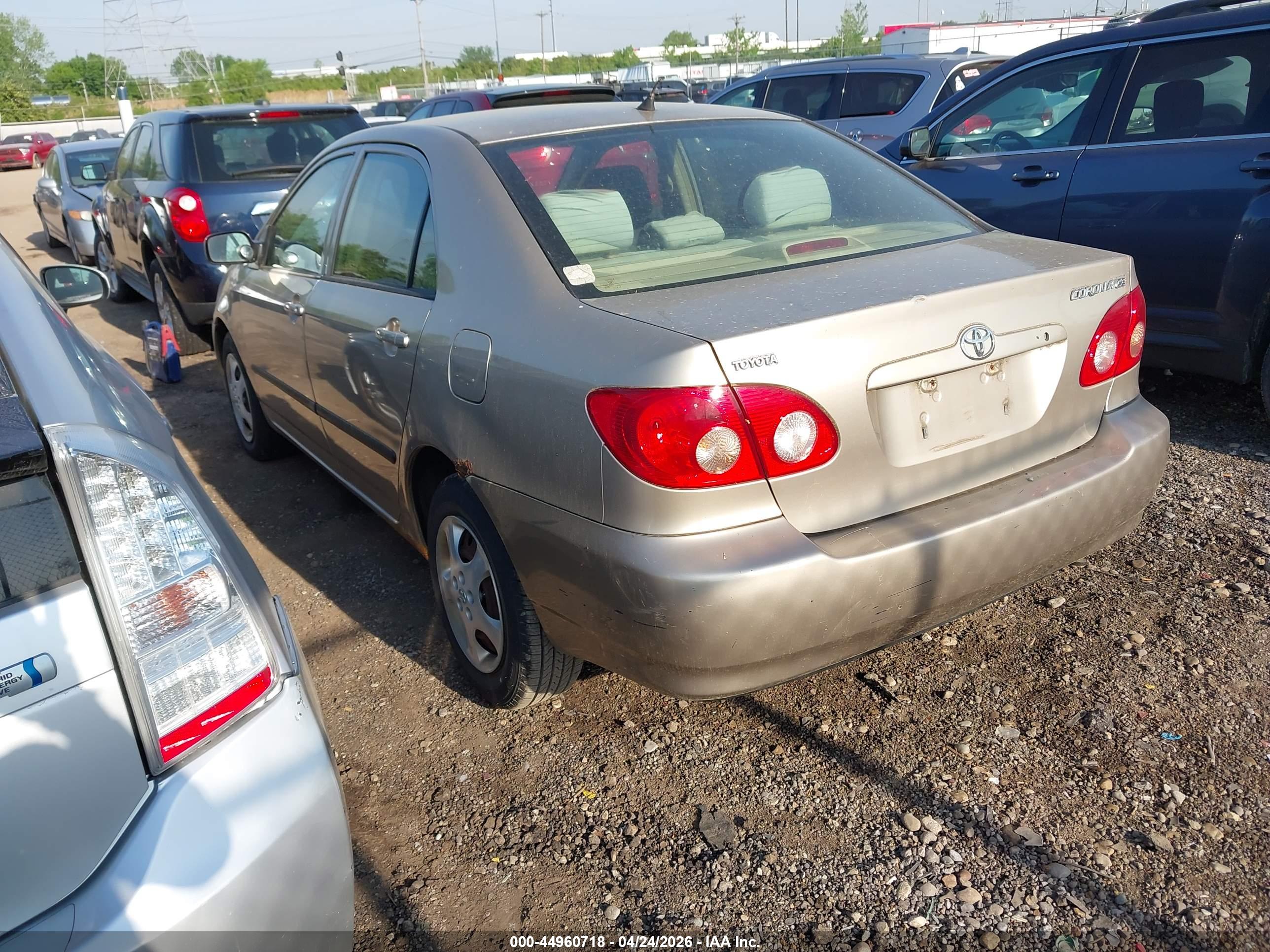 TOYOTA COROLLA image 3