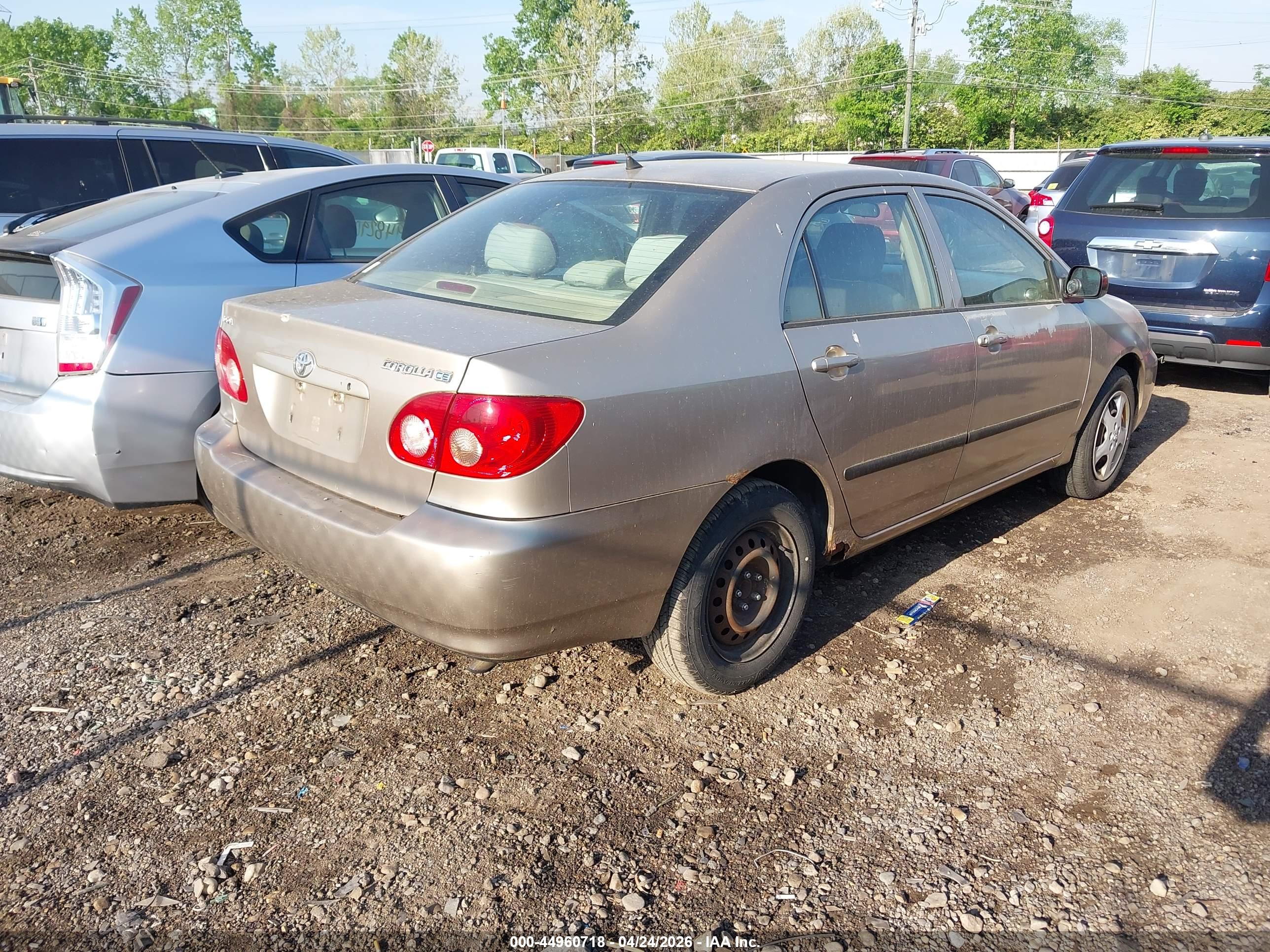 TOYOTA COROLLA image 4