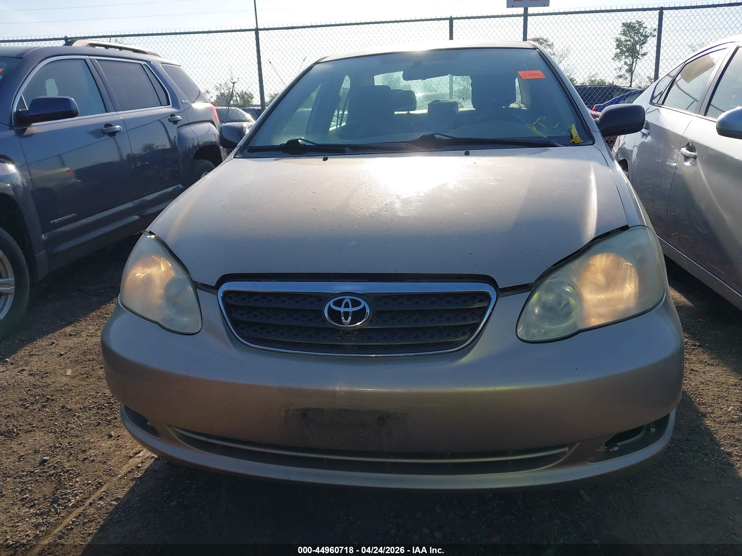 TOYOTA COROLLA image 6