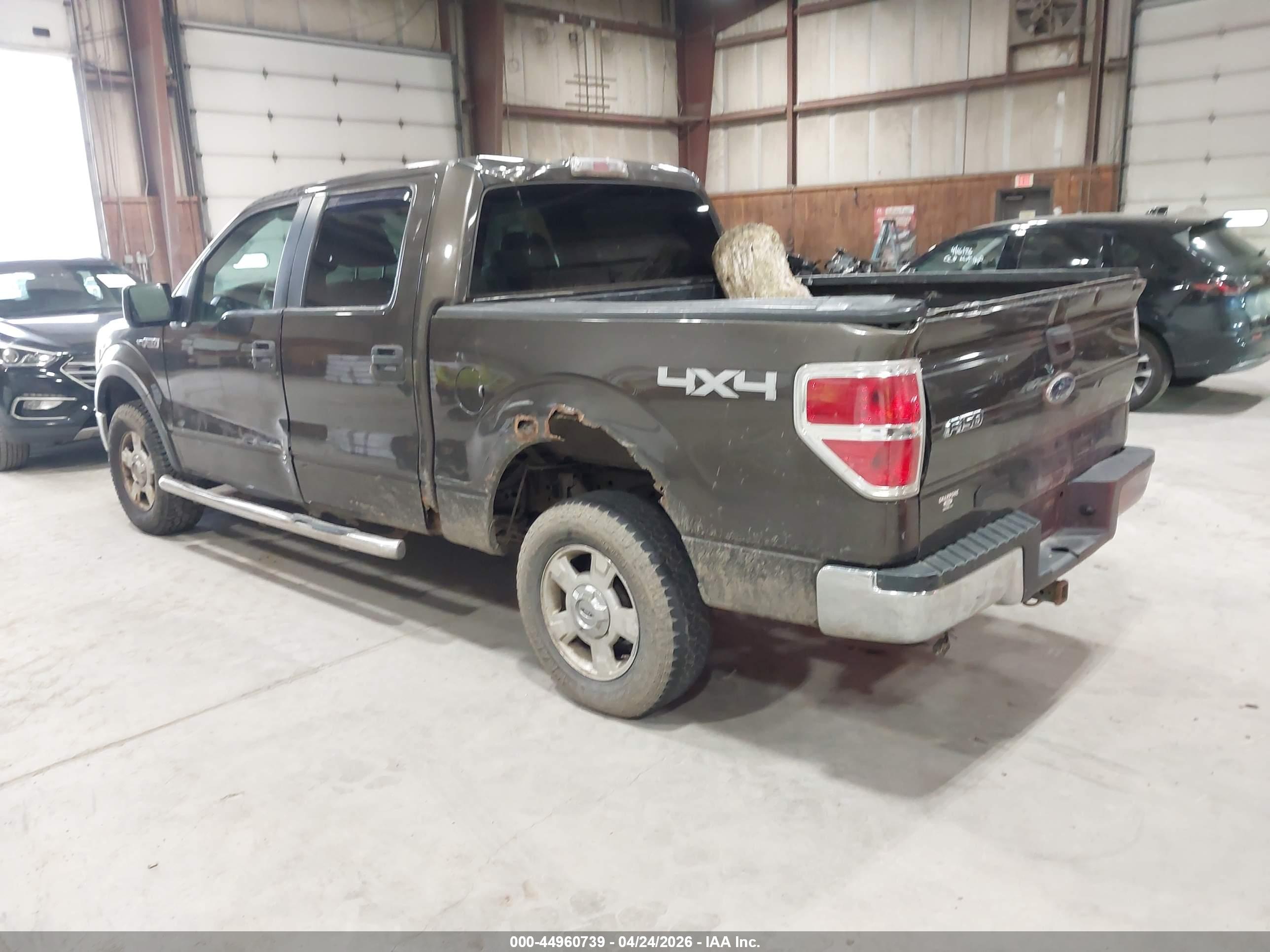 FORD F-150 image 3