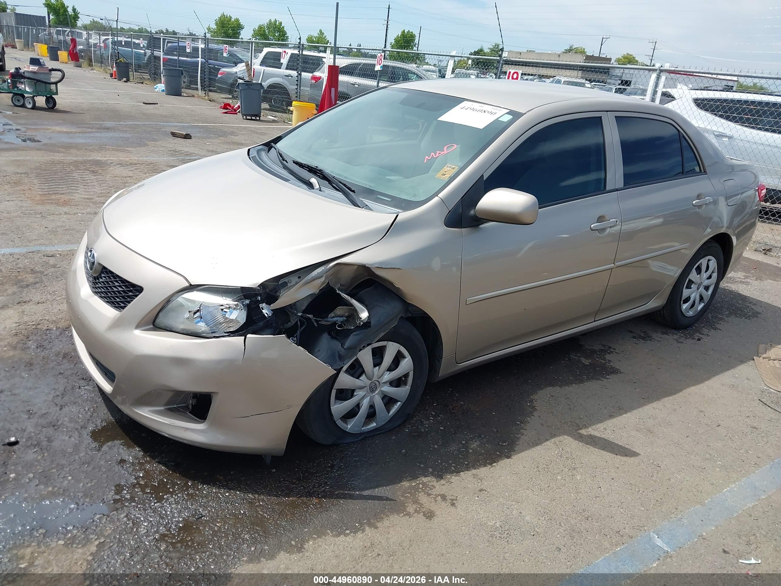 TOYOTA COROLLA image 2