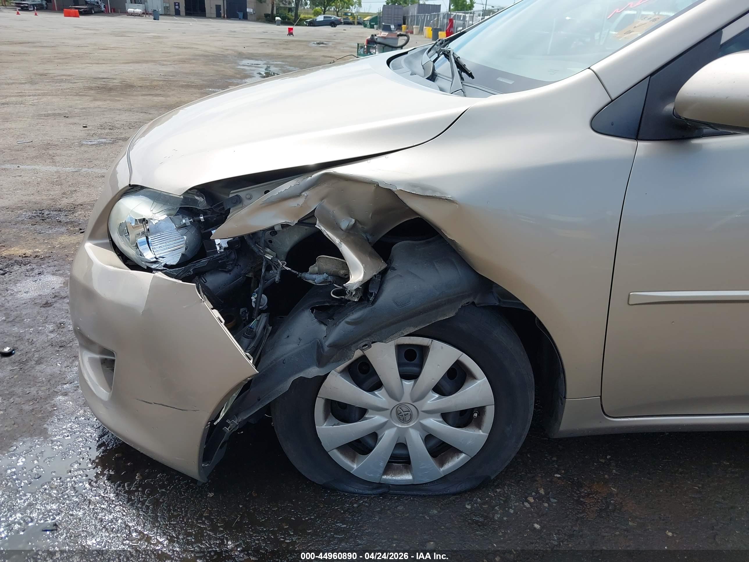 TOYOTA COROLLA image 6