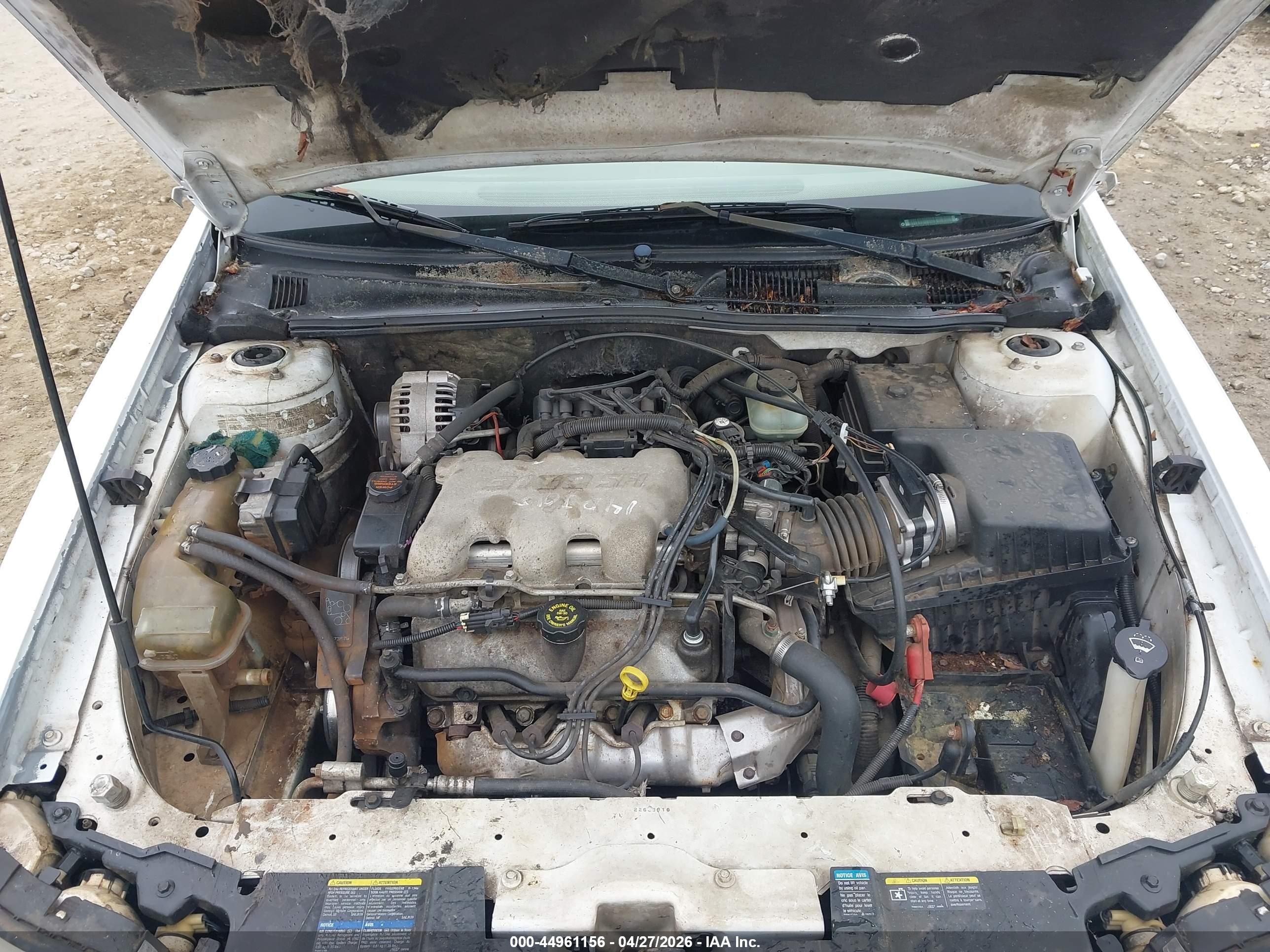 CHEVROLET MALIBU image 10
