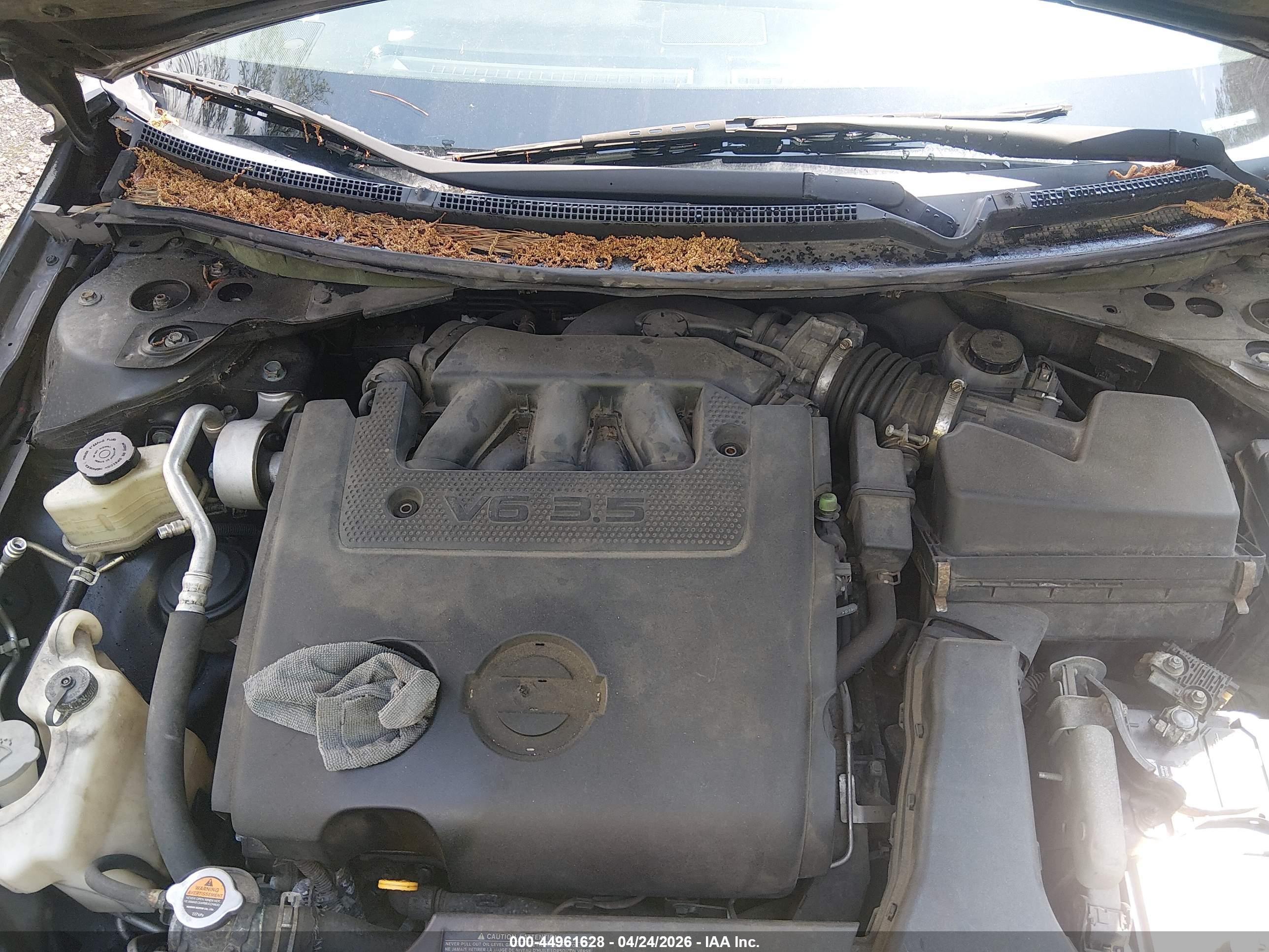 NISSAN ALTIMA image 10