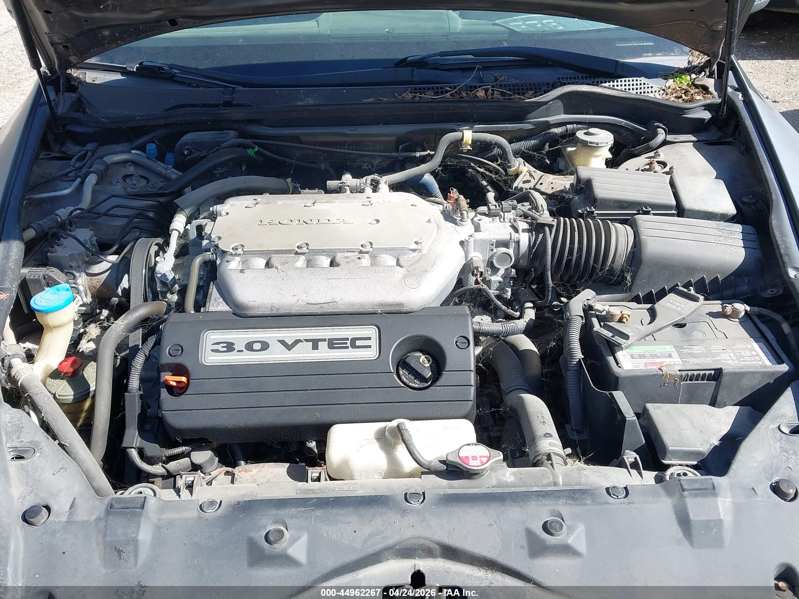 HONDA ACCORD image 10