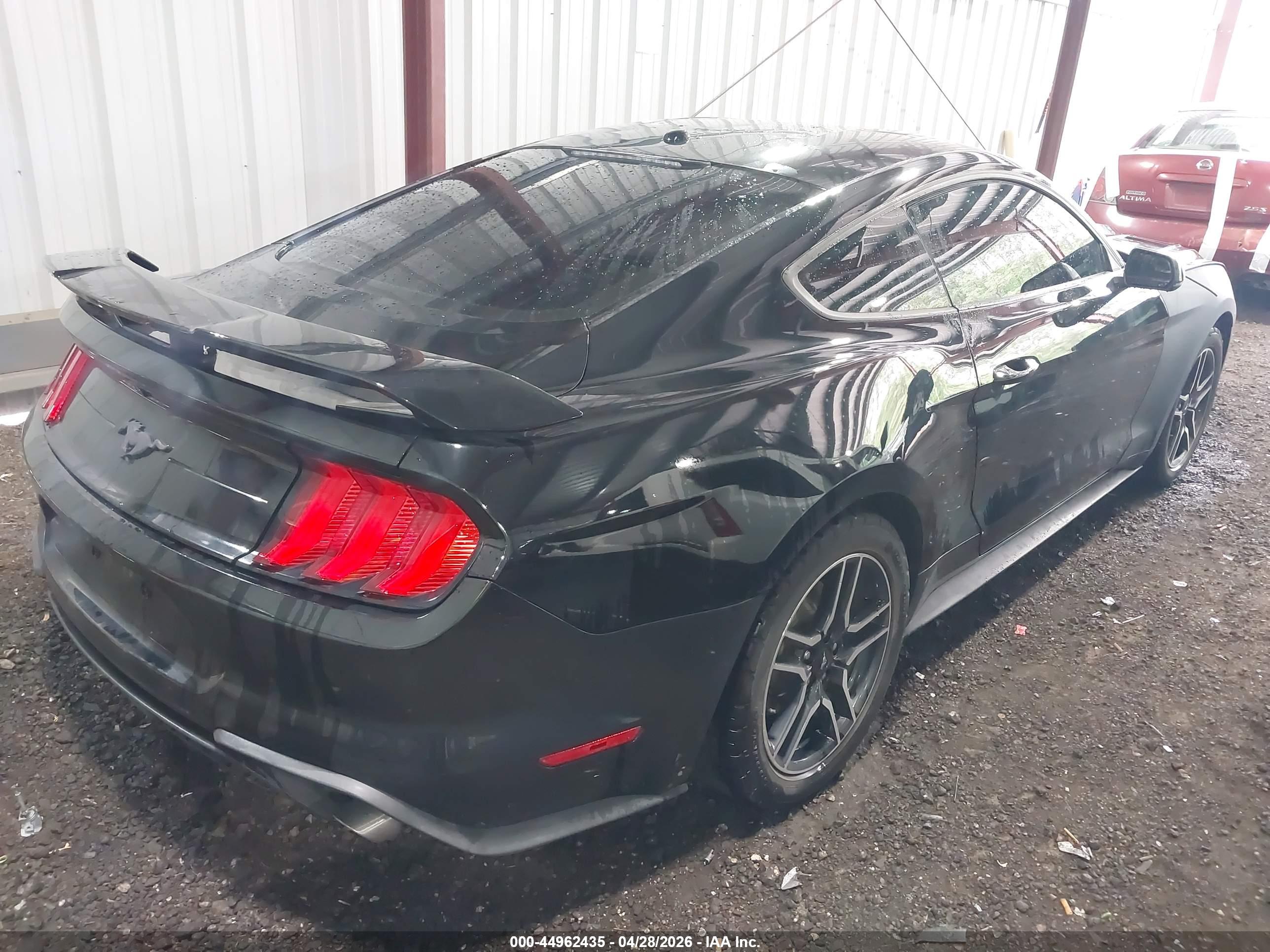FORD MUSTANG image 4