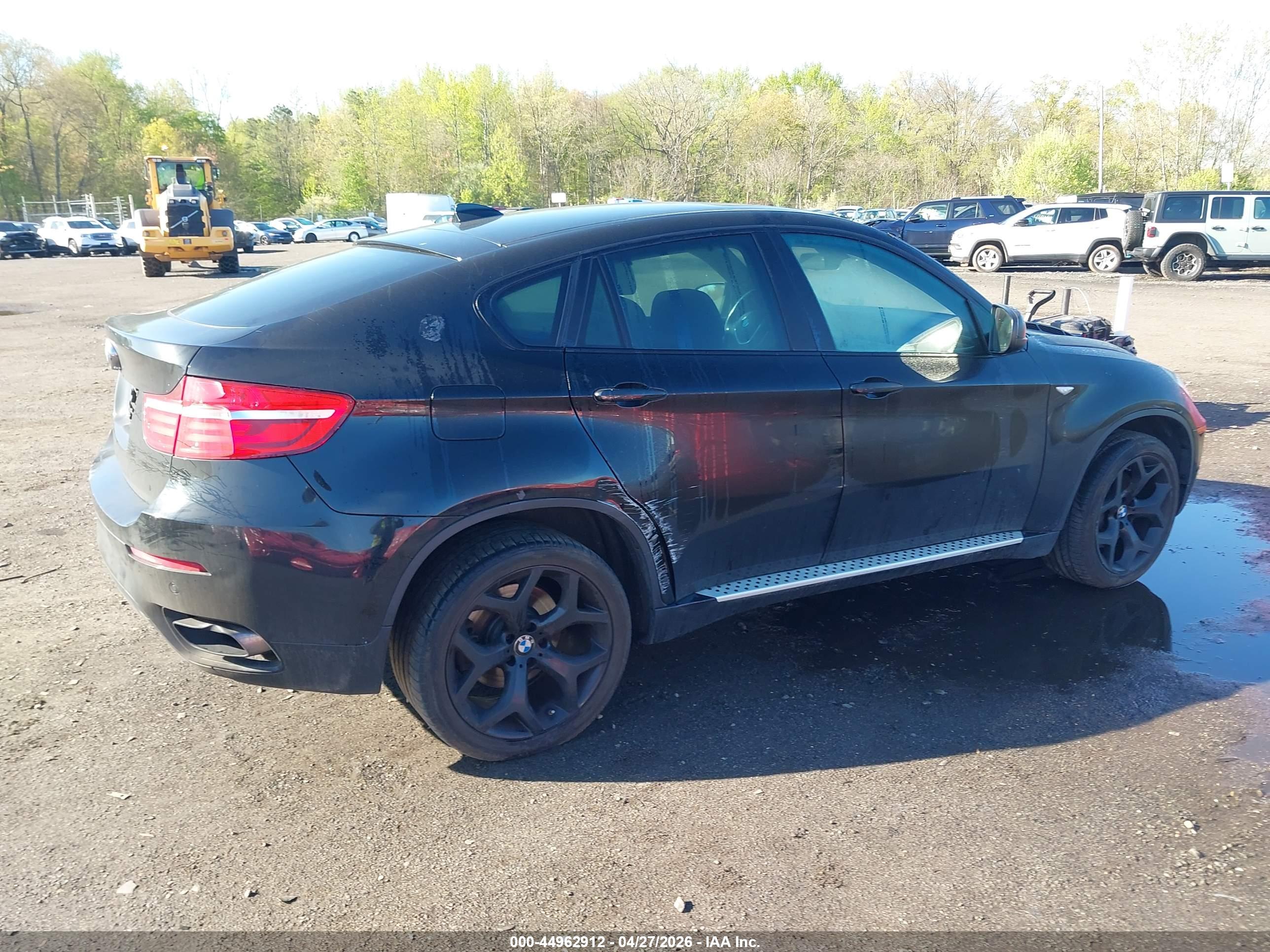 BMW X6 image 6