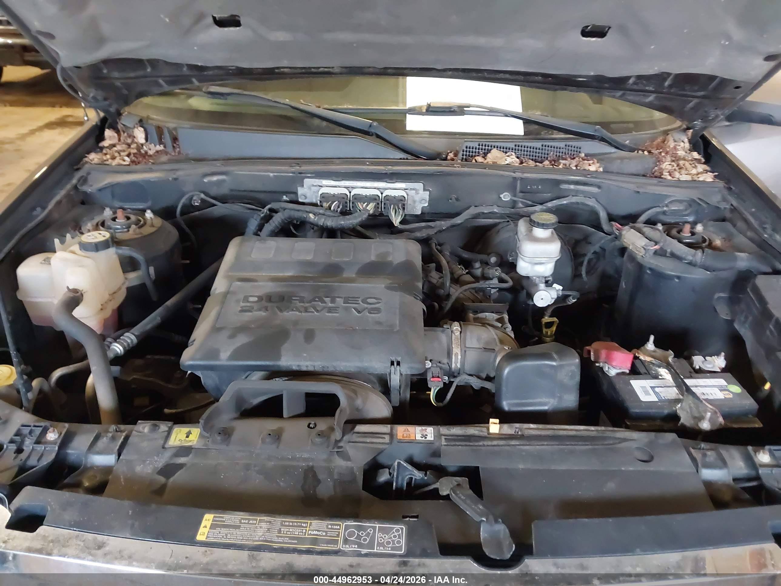 FORD ESCAPE image 10