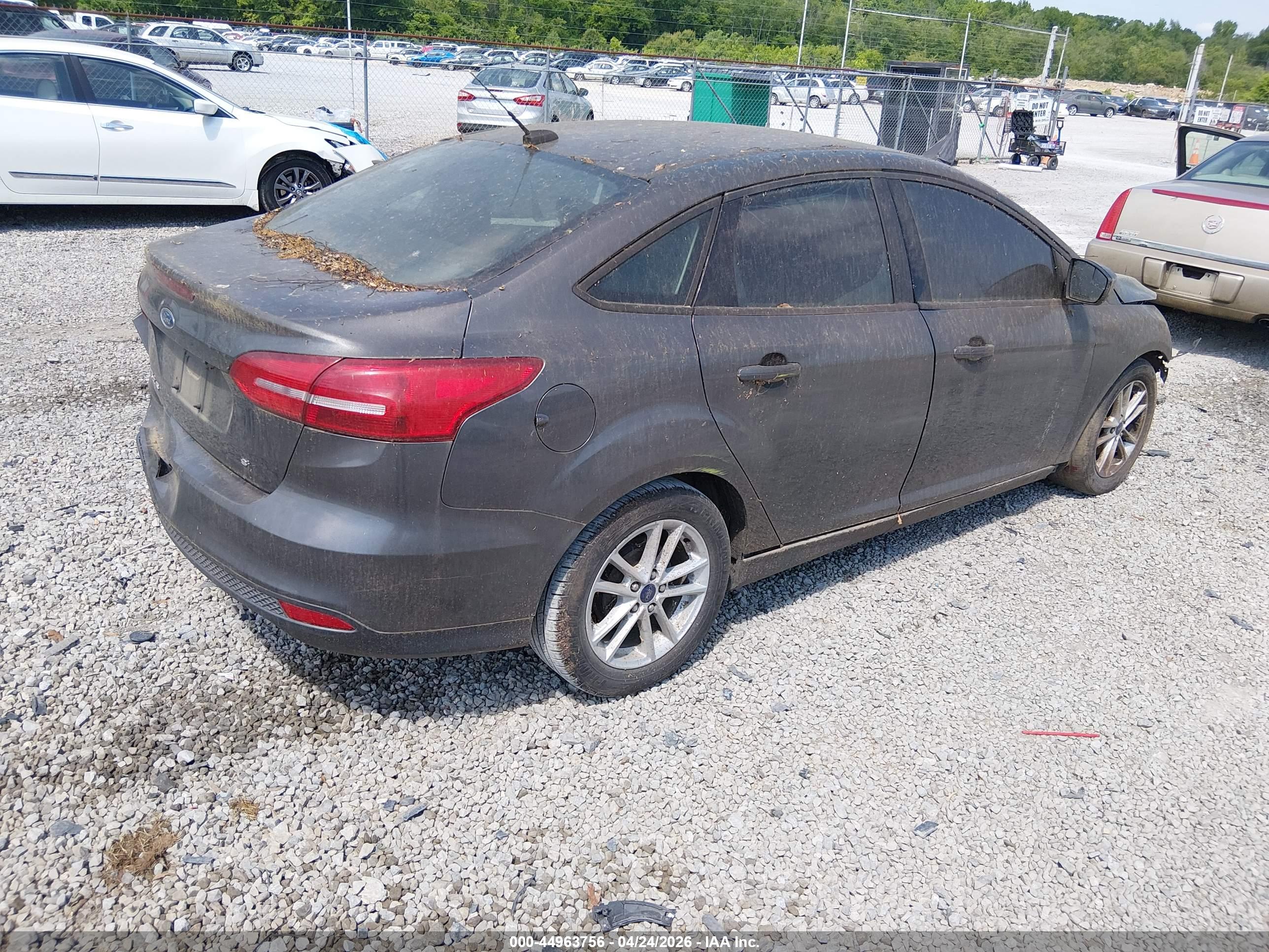 FORD FOCUS image 4