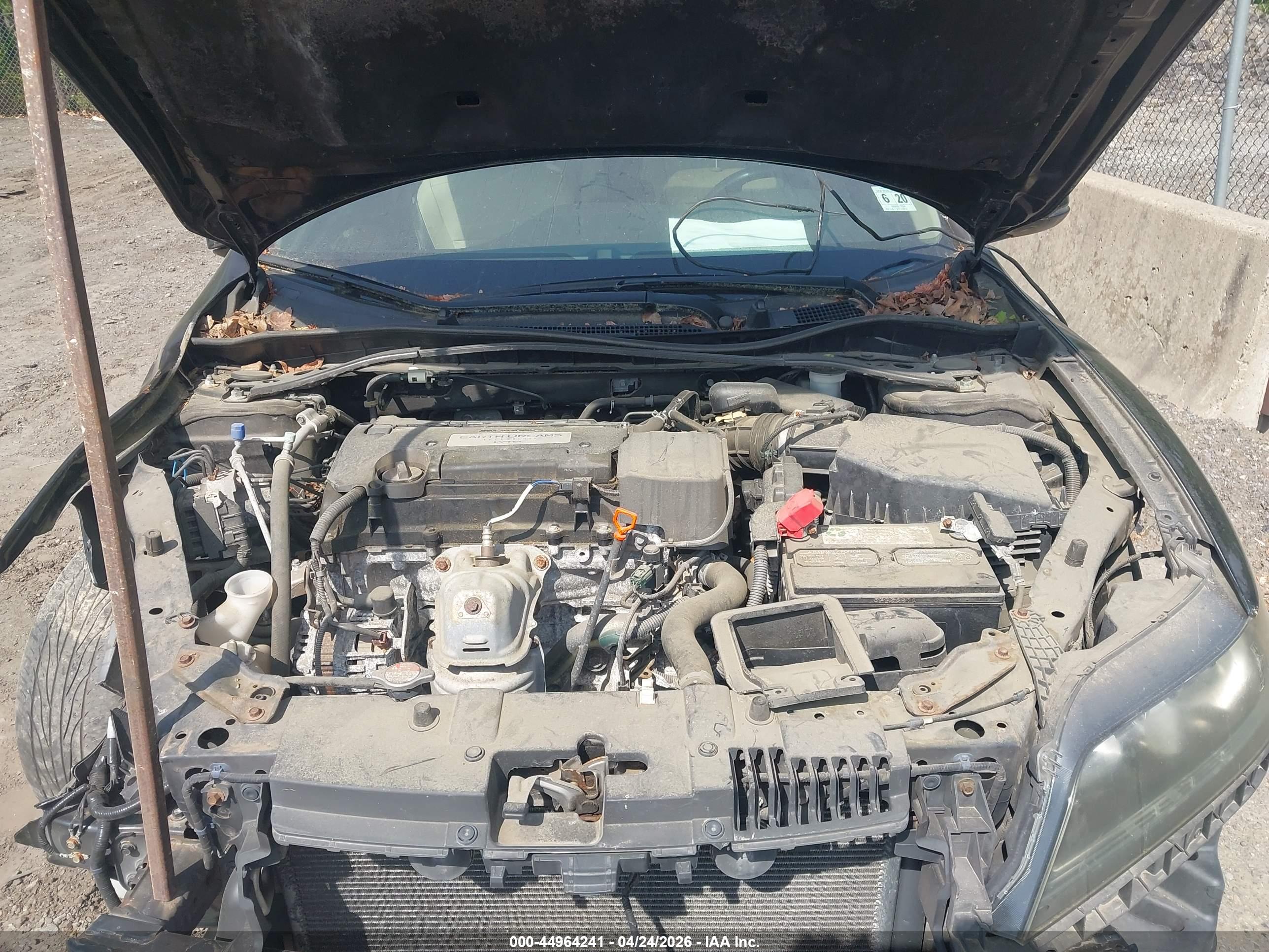 HONDA ACCORD image 10