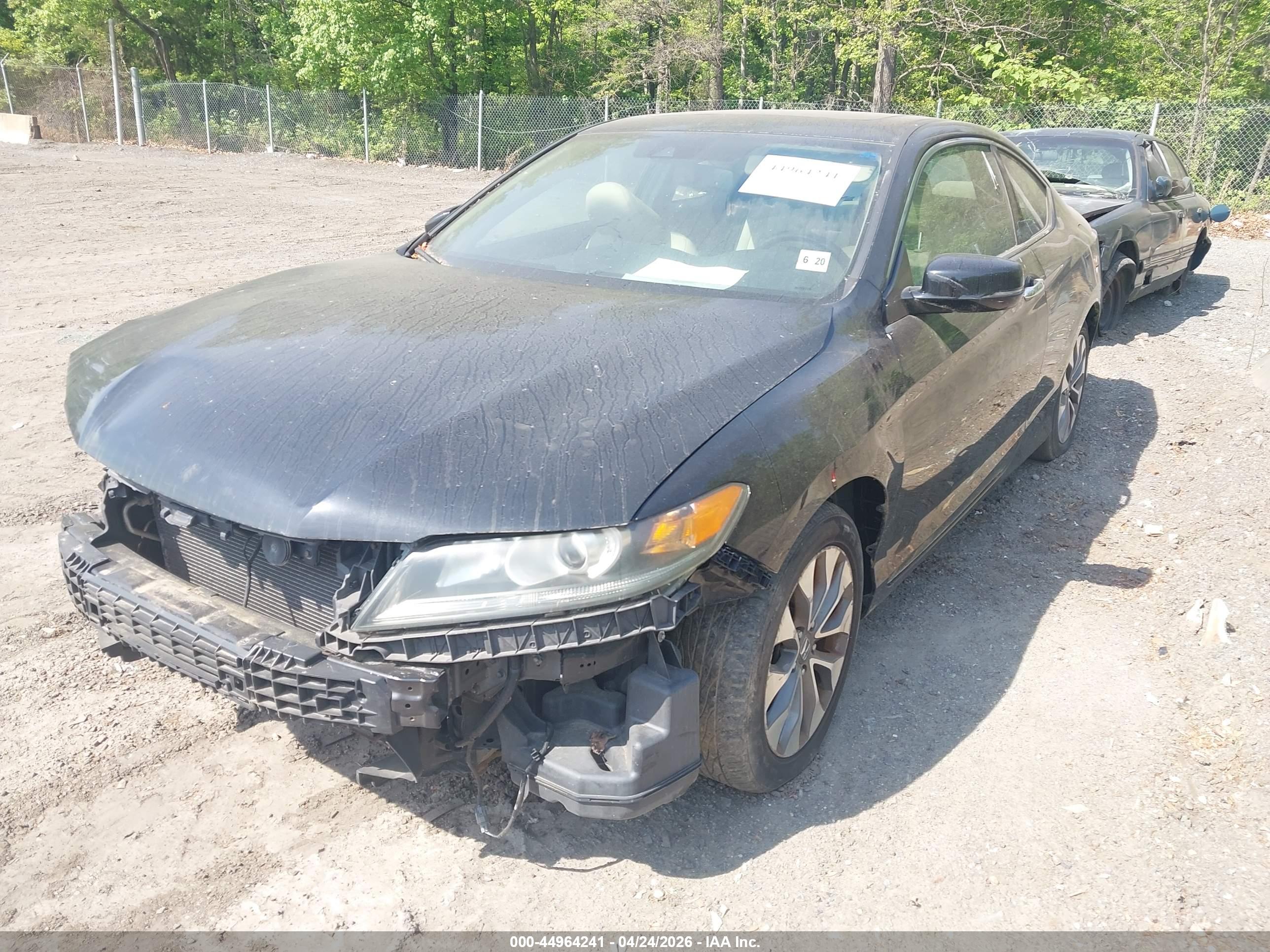 HONDA ACCORD image 2