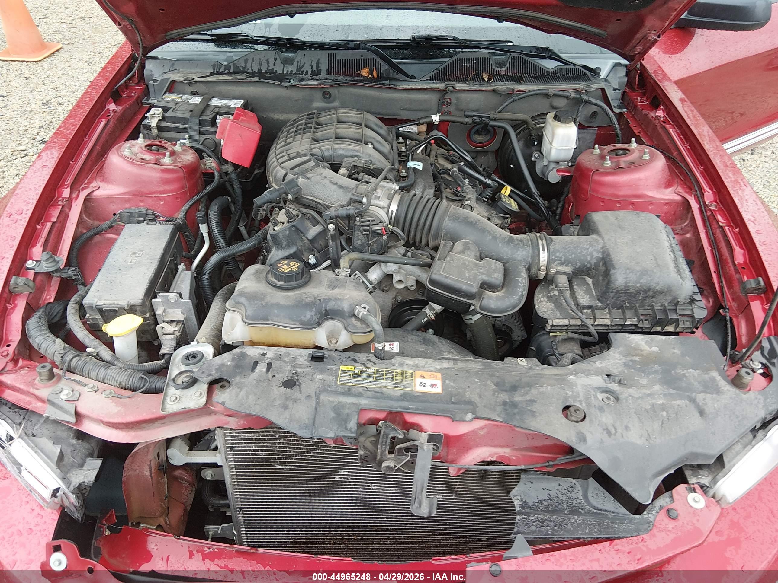 FORD MUSTANG image 10
