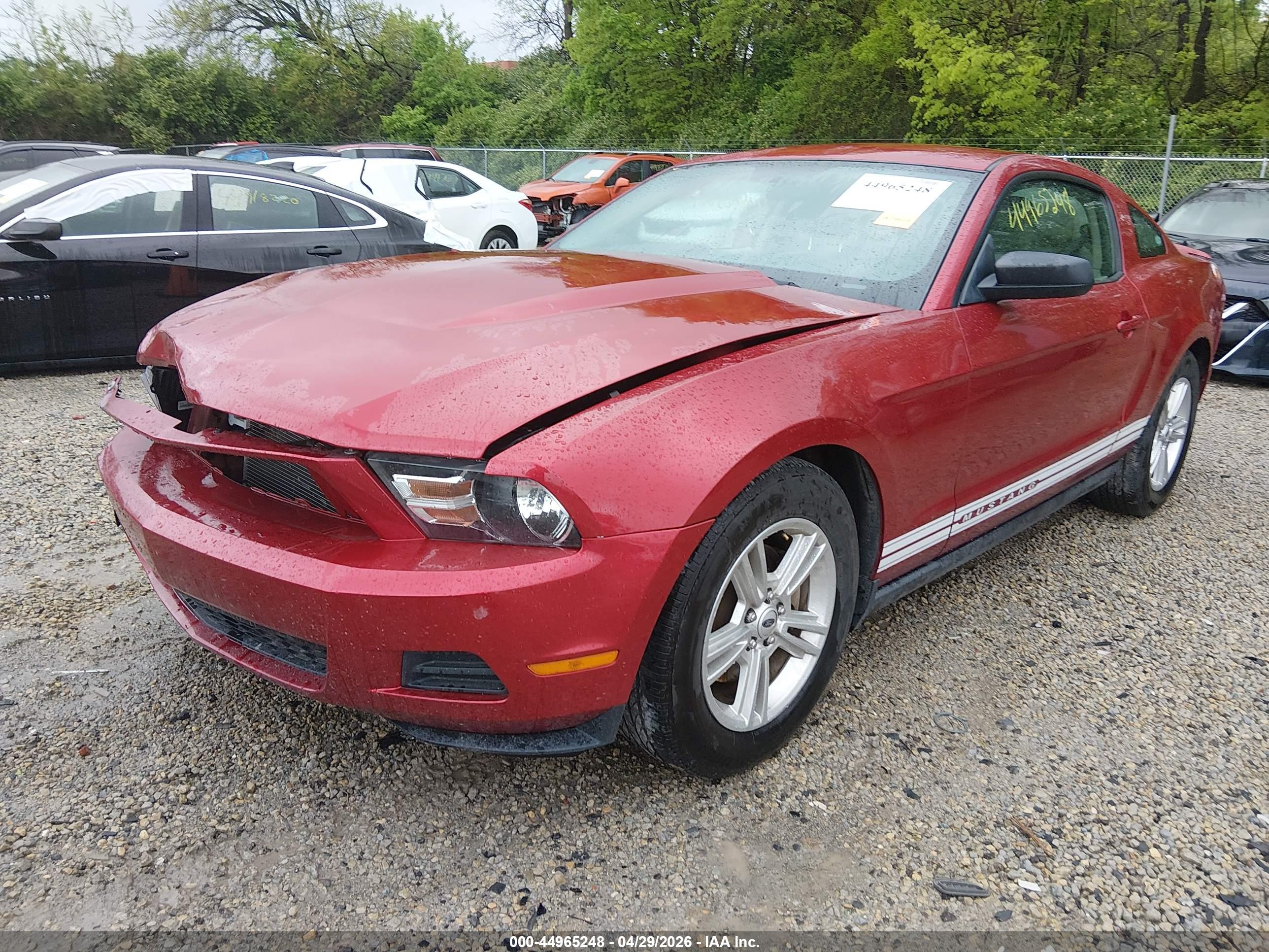 FORD MUSTANG image 2