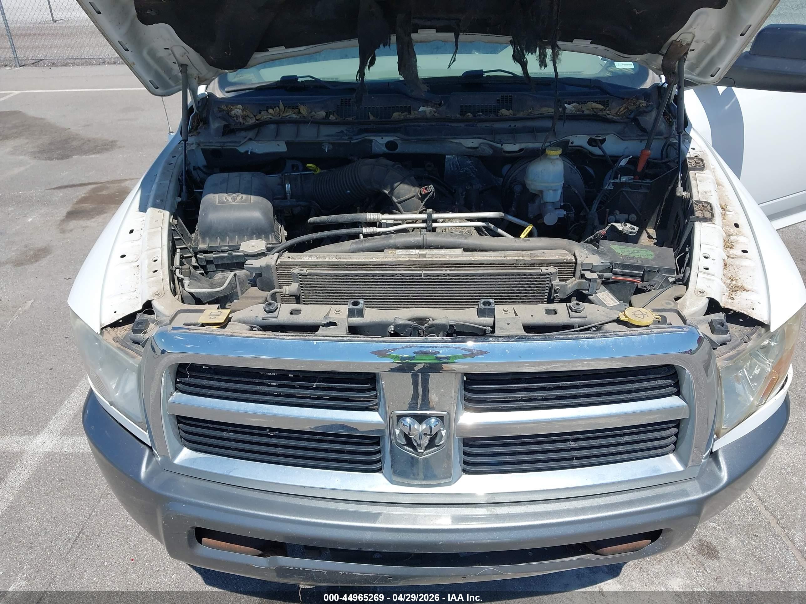 RAM RAM image 10