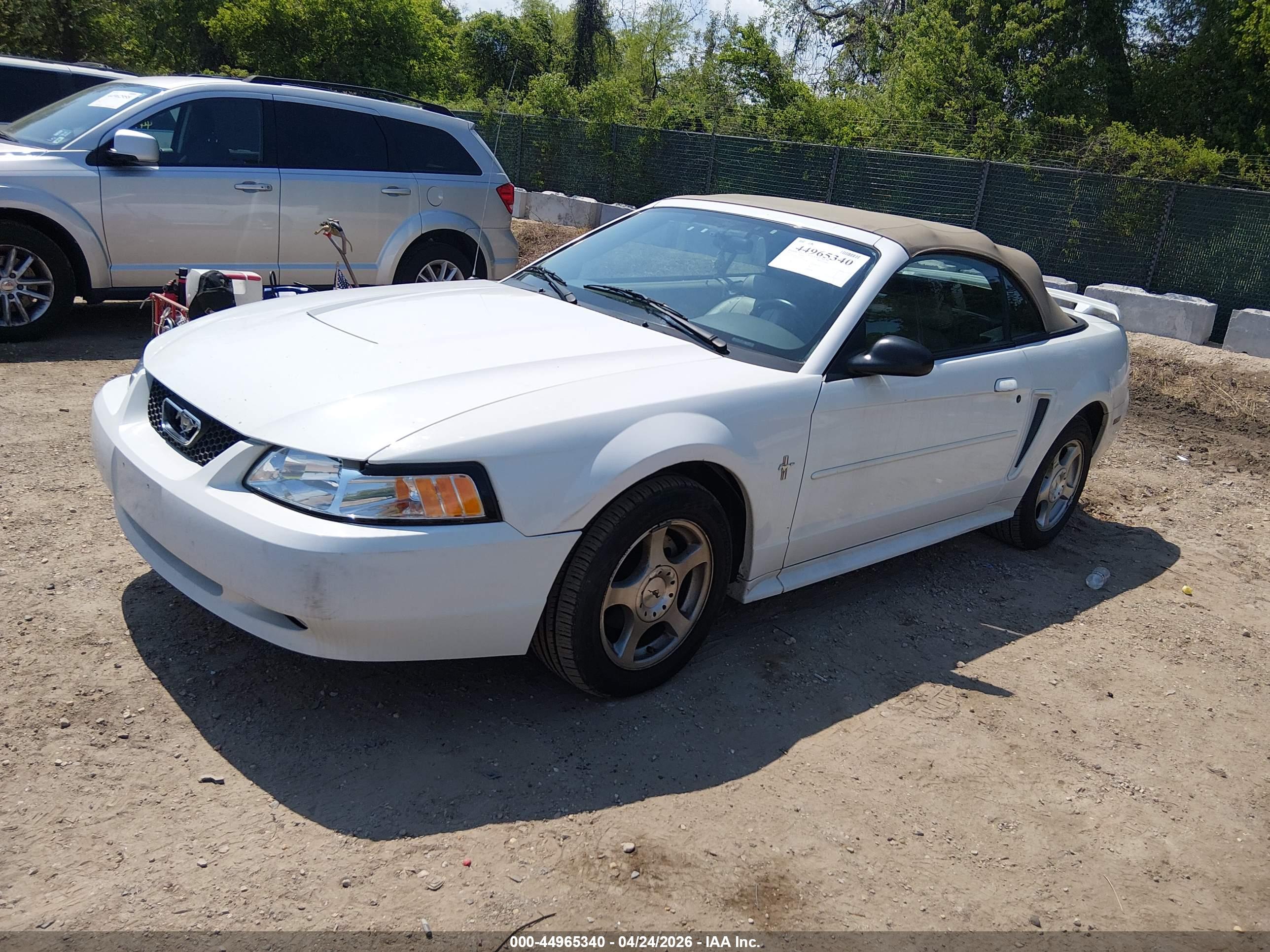 FORD MUSTANG image 2