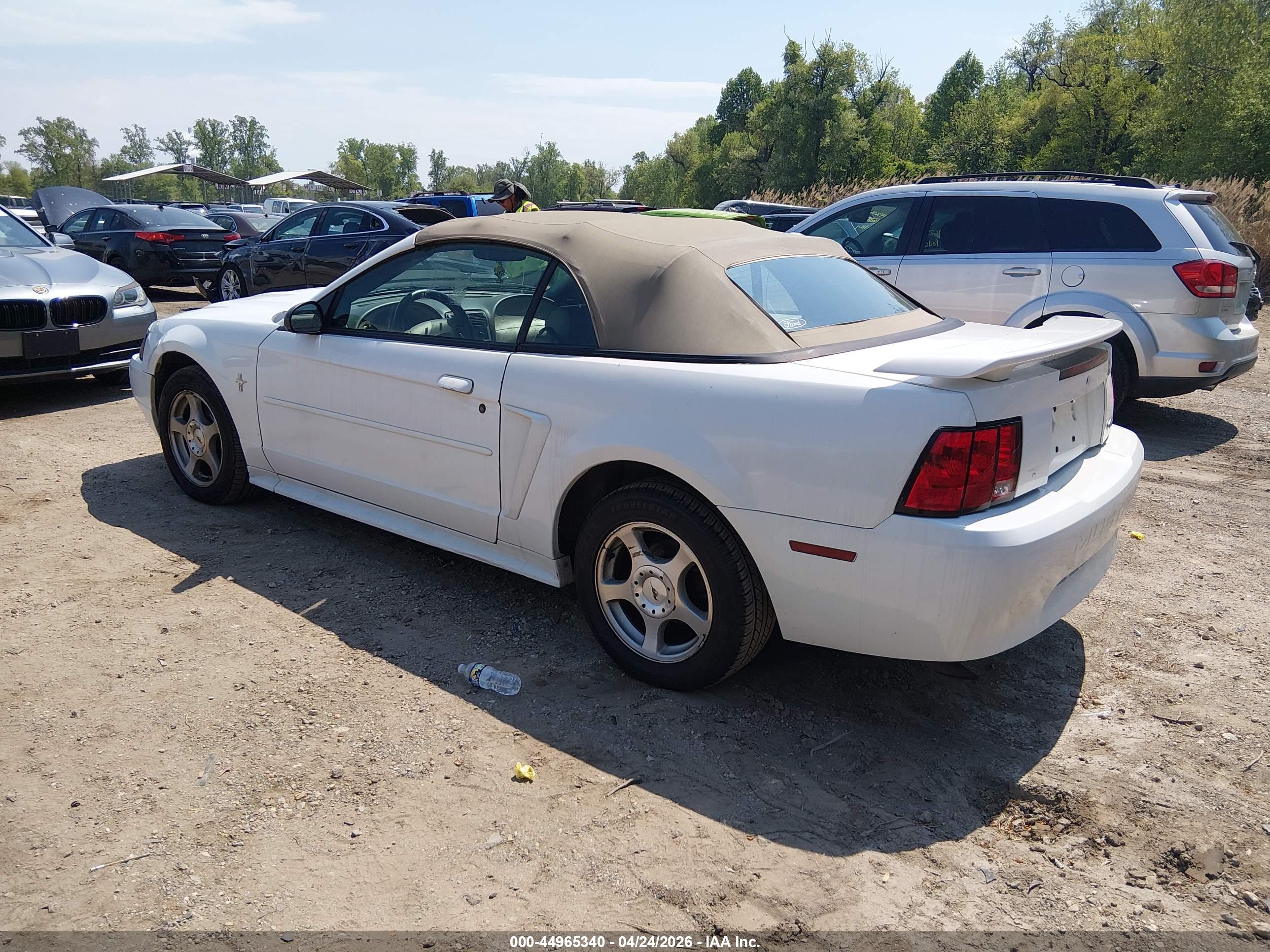 FORD MUSTANG image 3