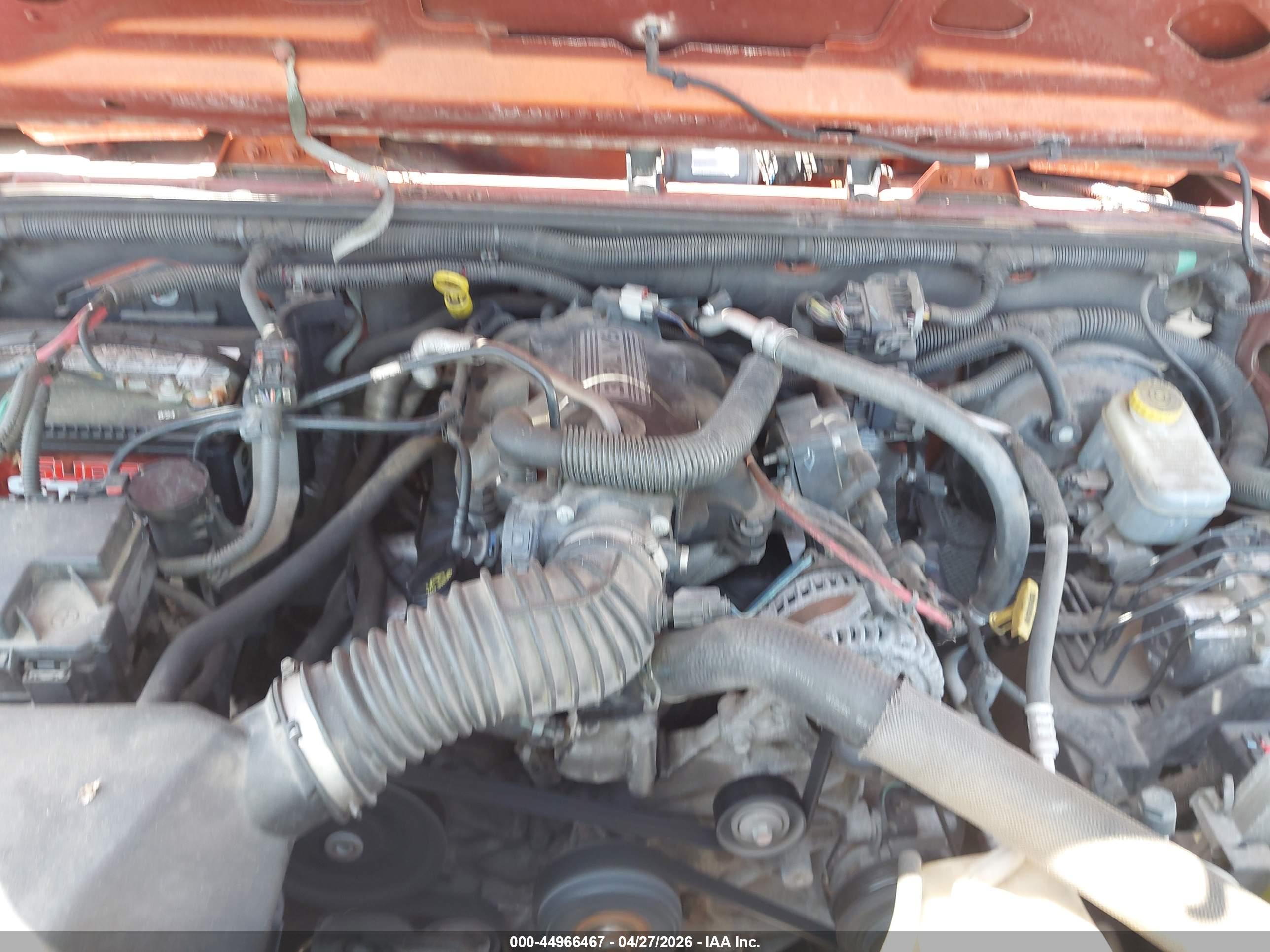 JEEP WRANGLER image 10