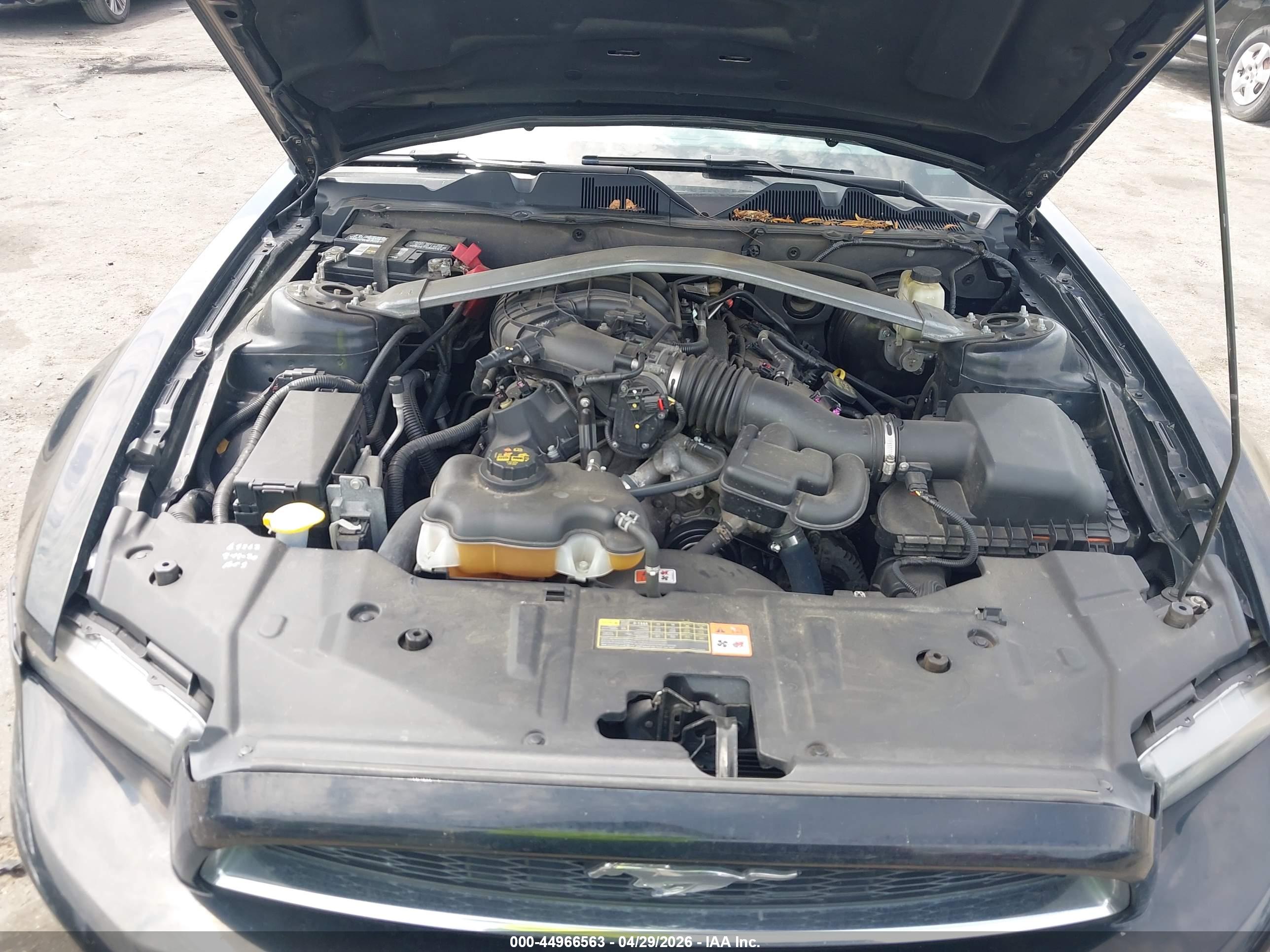 FORD MUSTANG image 10