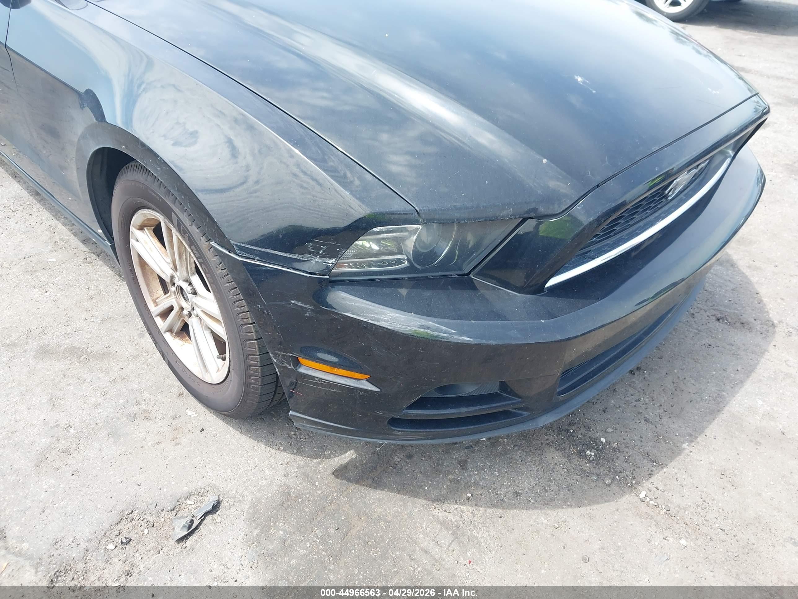 FORD MUSTANG image 6