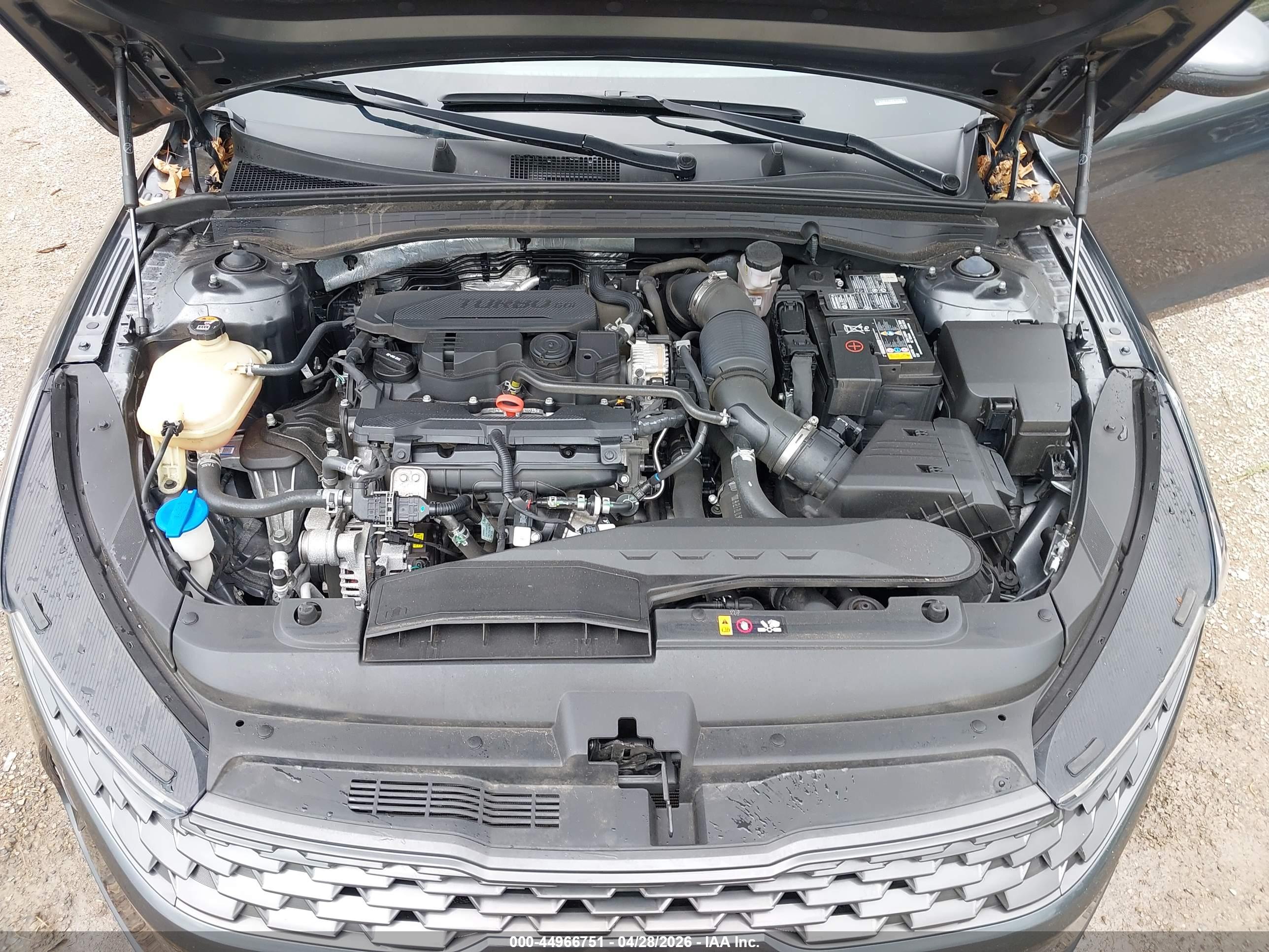 KIA K5 image 10