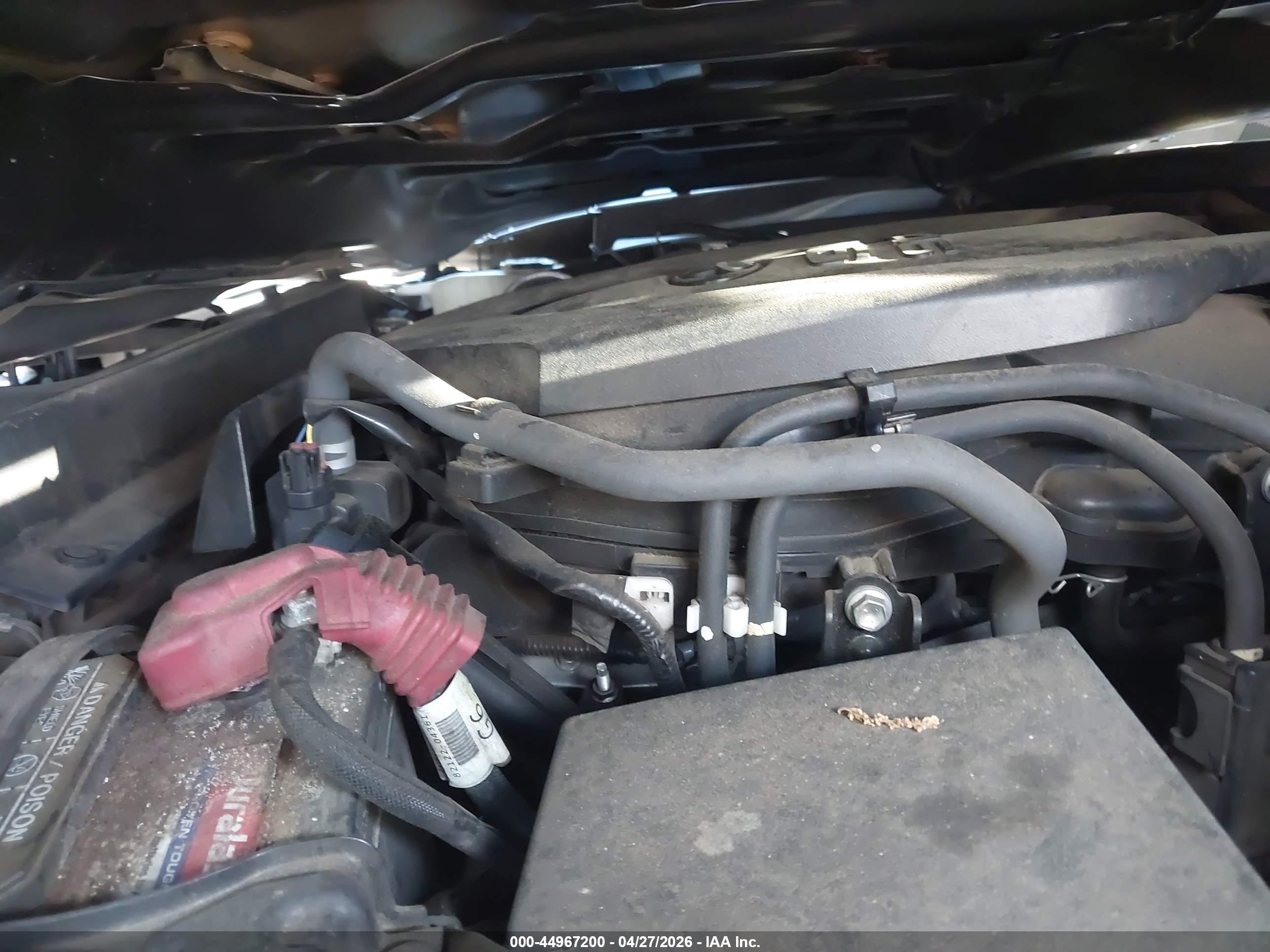 TOYOTA TACOMA image 10