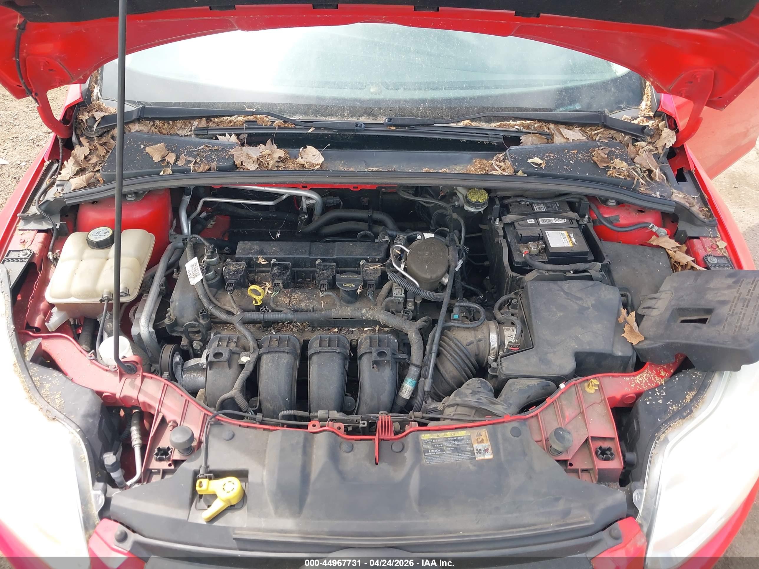 FORD FOCUS image 10