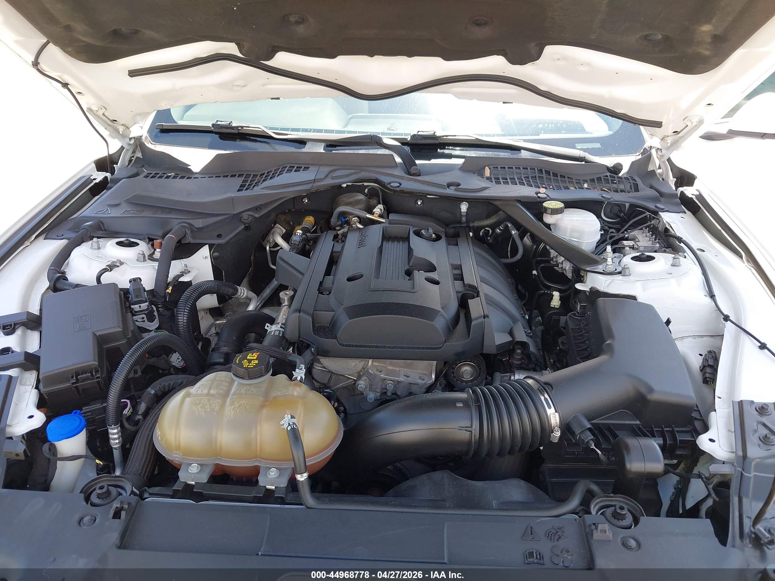 FORD MUSTANG image 10