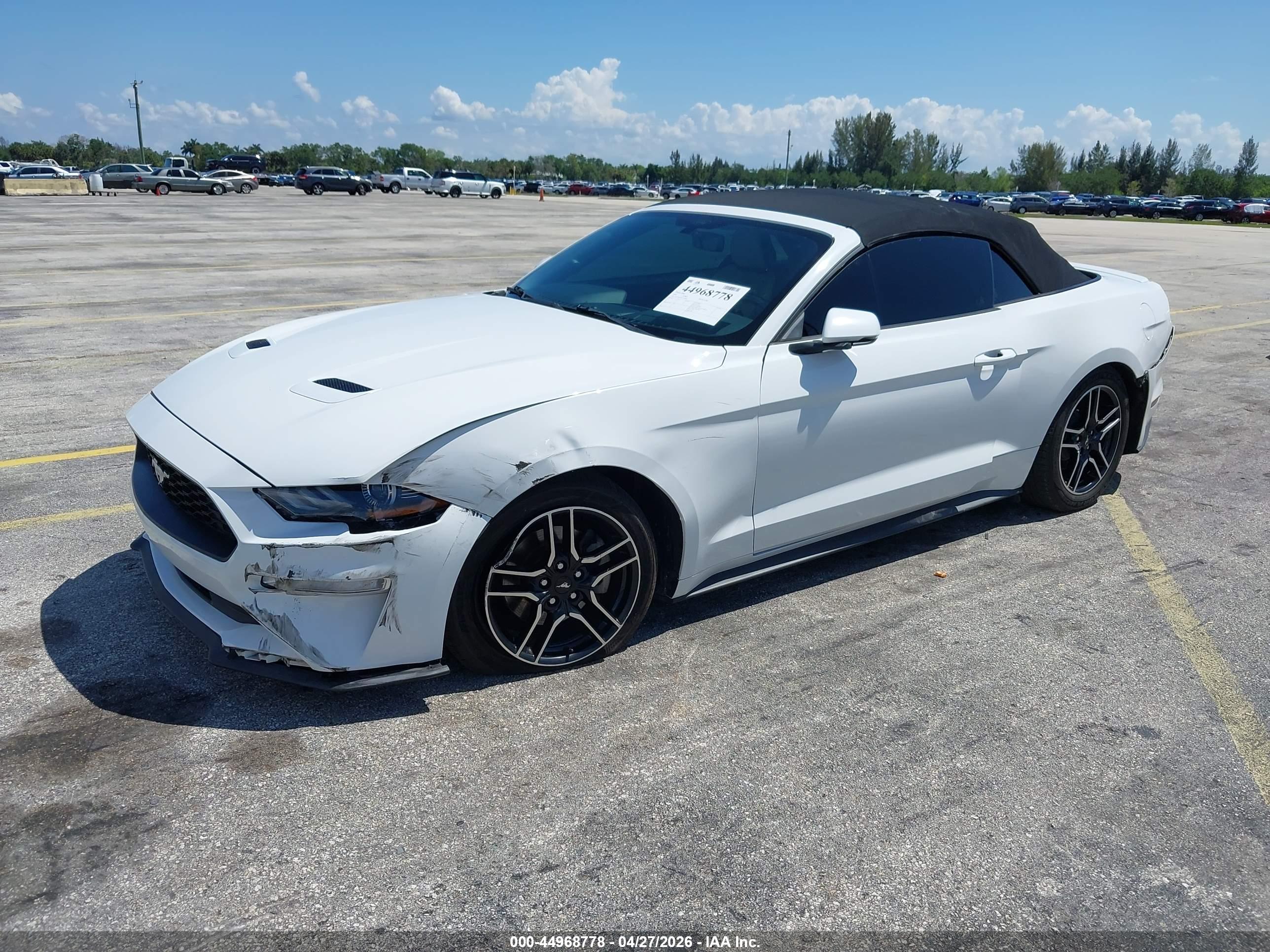 FORD MUSTANG image 2