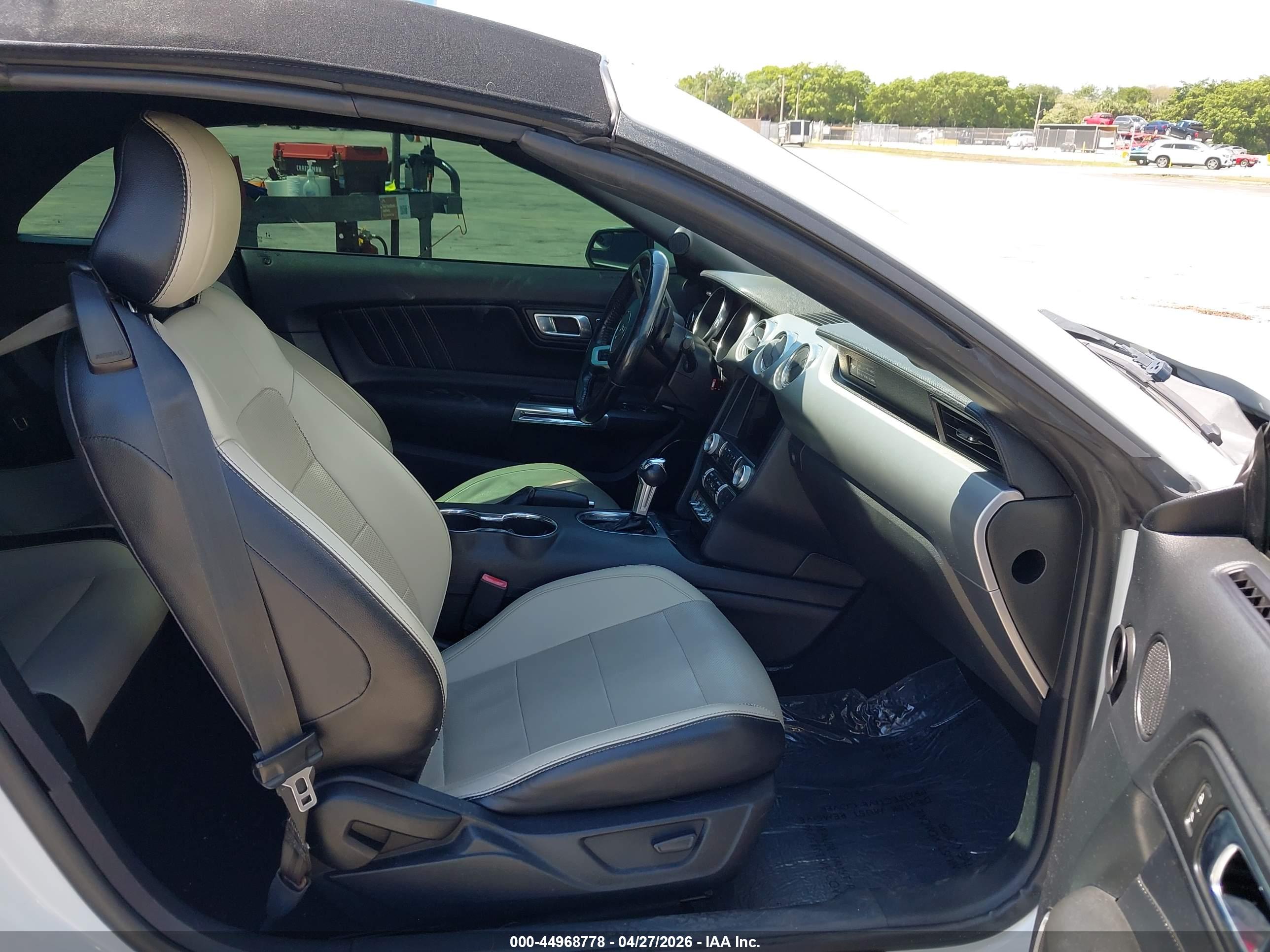 FORD MUSTANG image 5