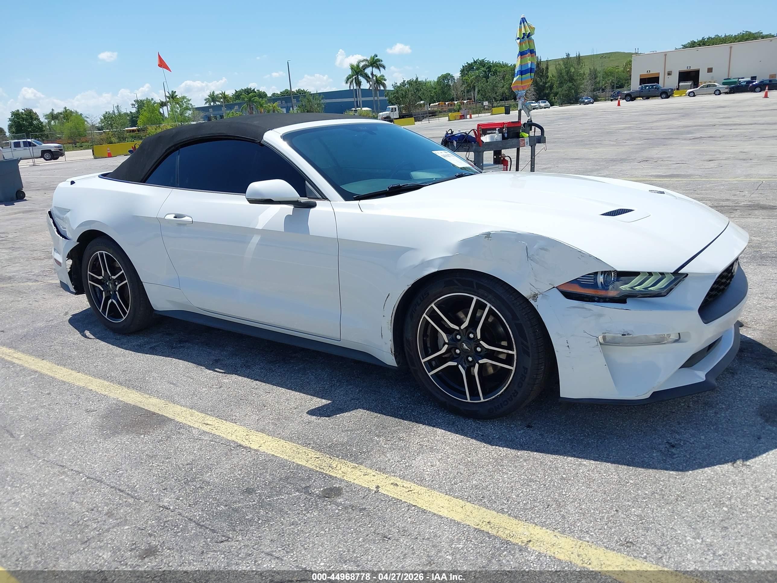 FORD MUSTANG image 6