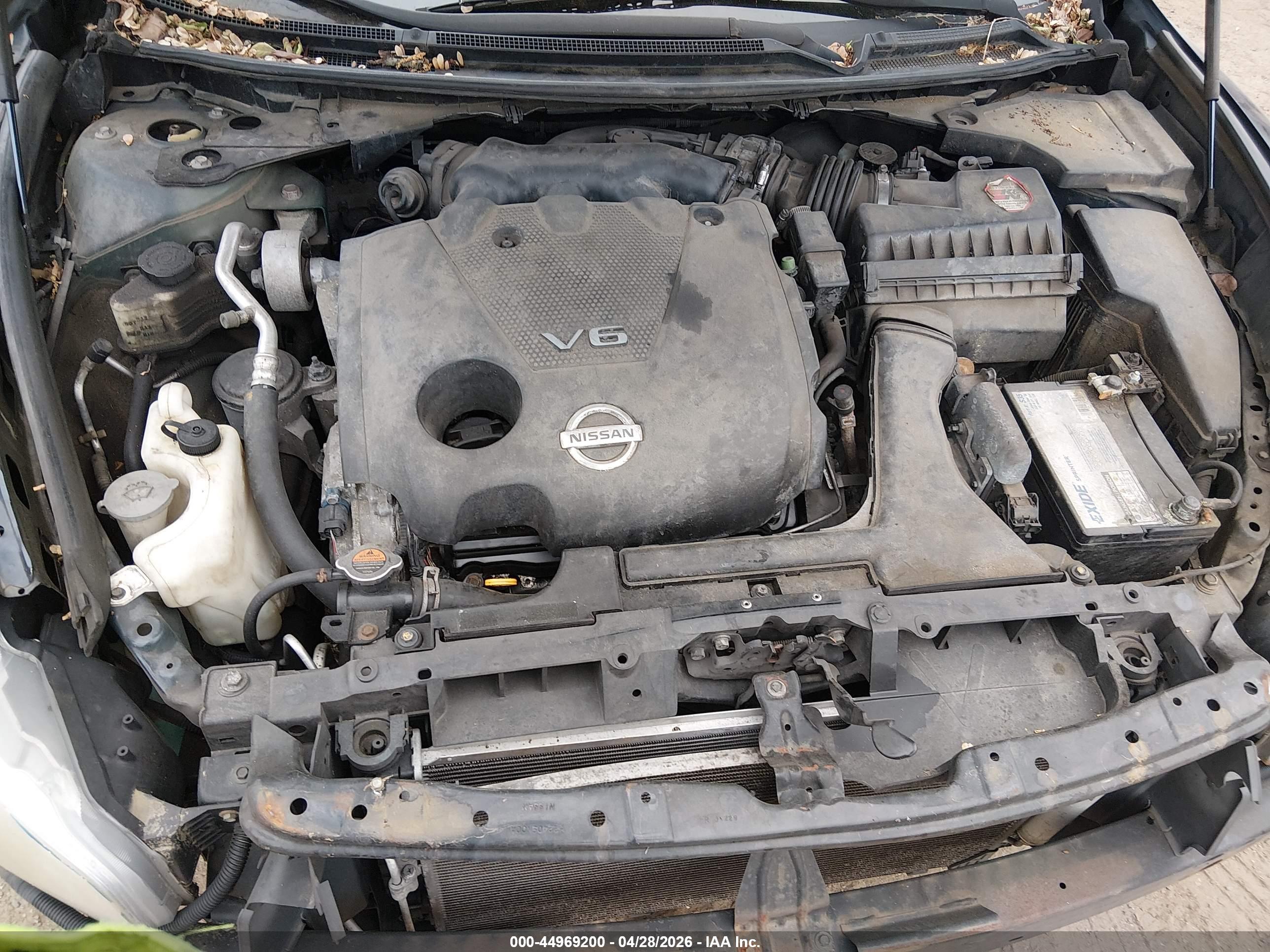 NISSAN MAXIMA image 10