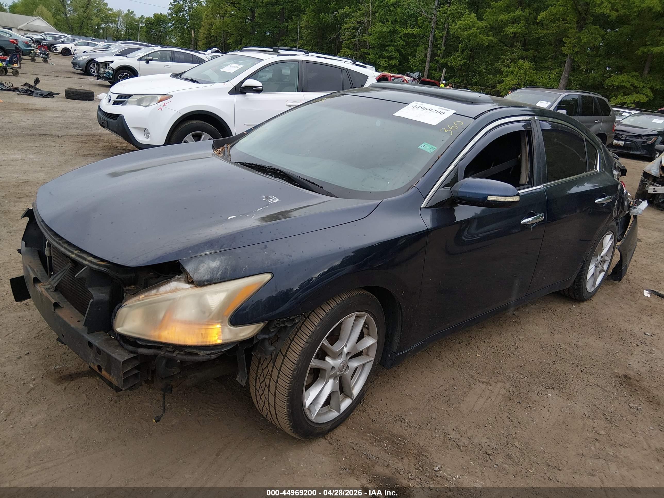 NISSAN MAXIMA image 2