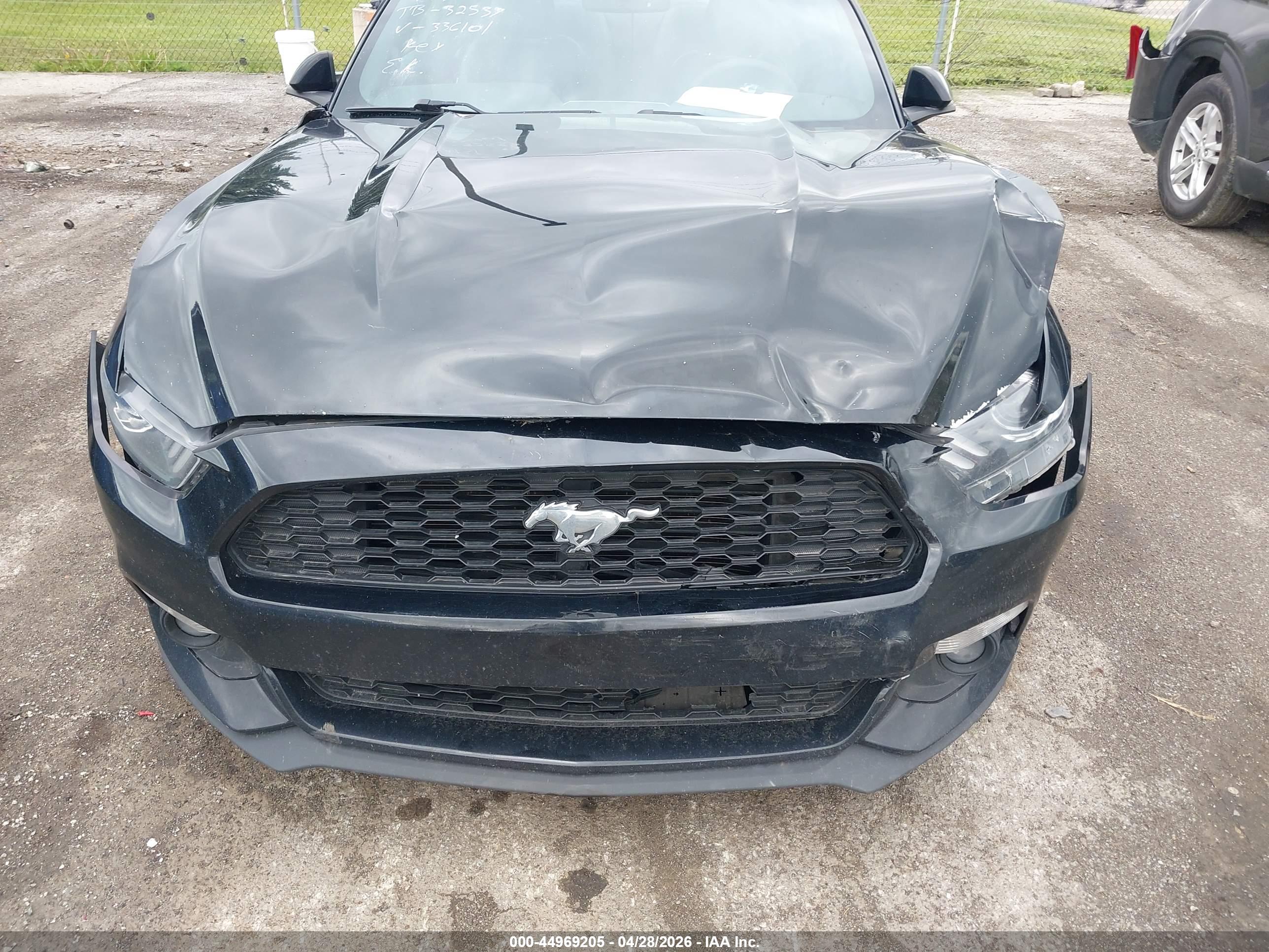 FORD MUSTANG image 6