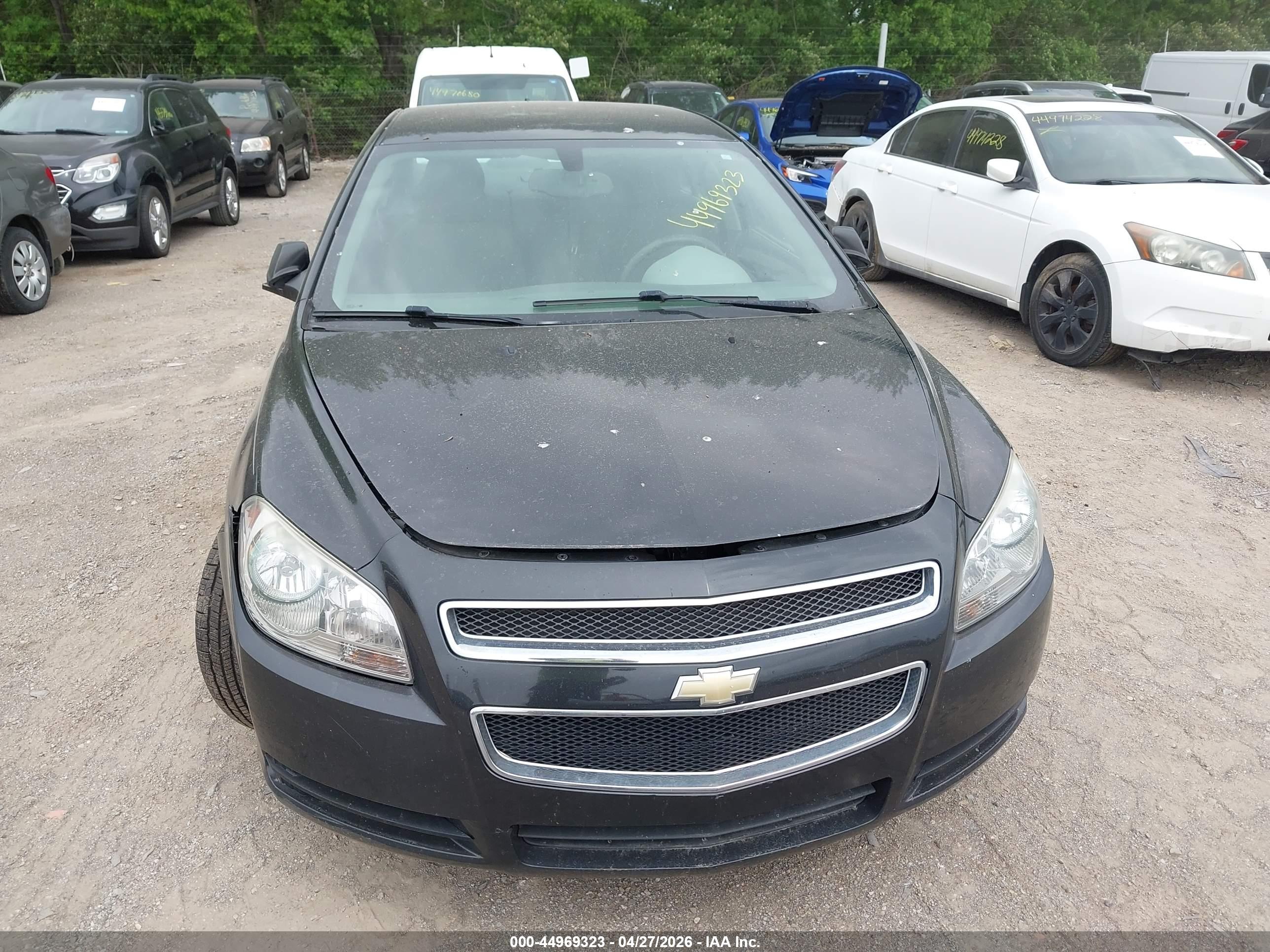 CHEVROLET MALIBU image 6