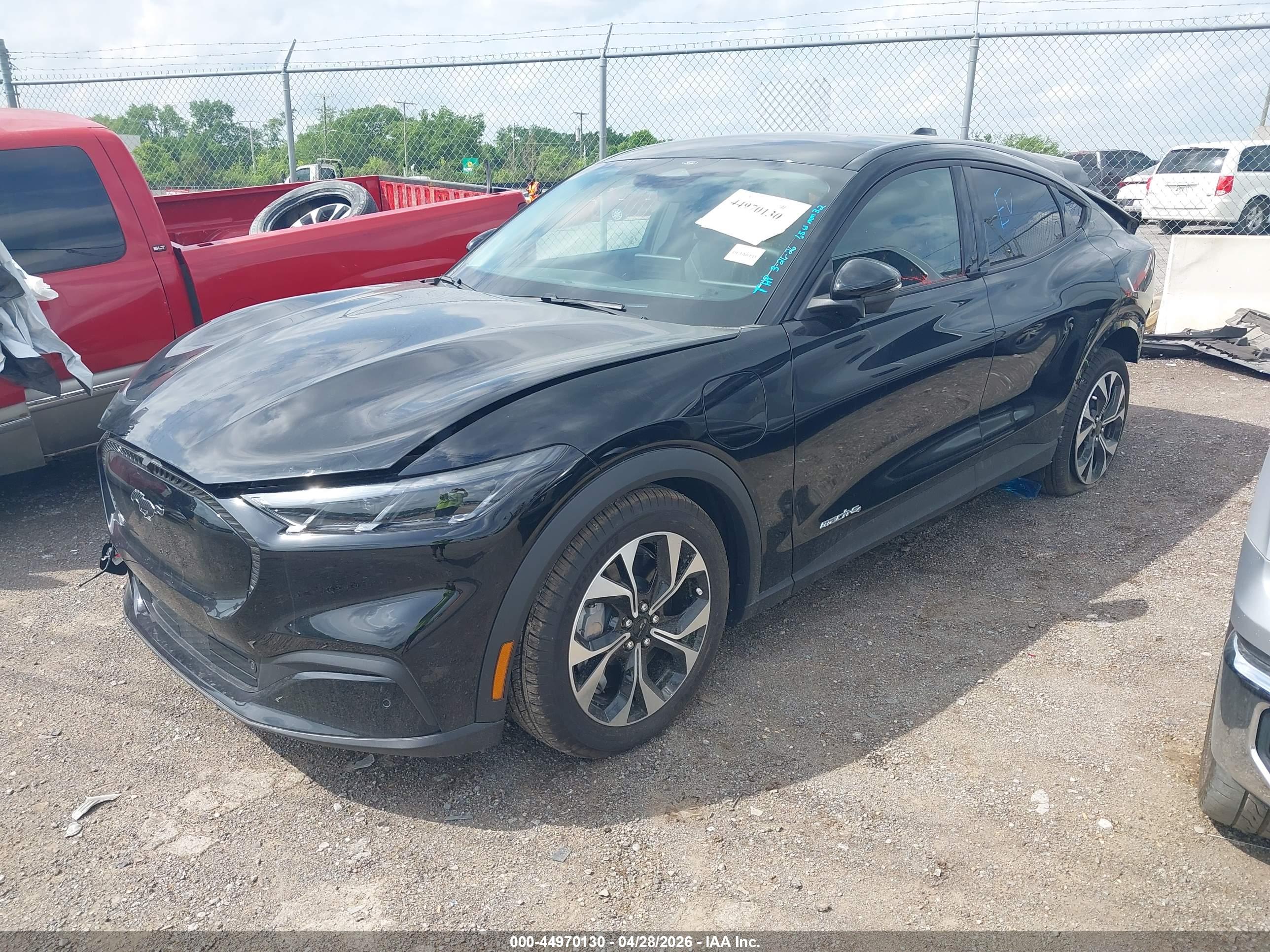 FORD MUSTANG image 2