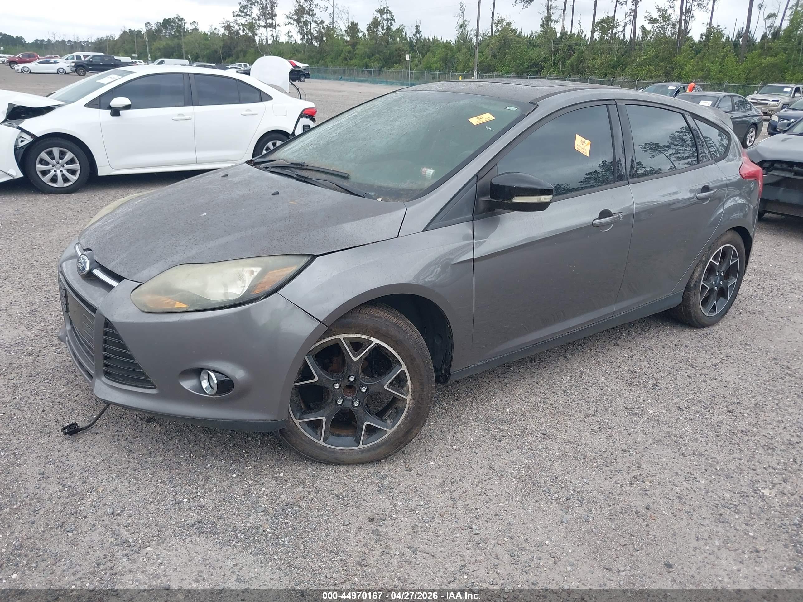 FORD FOCUS image 2