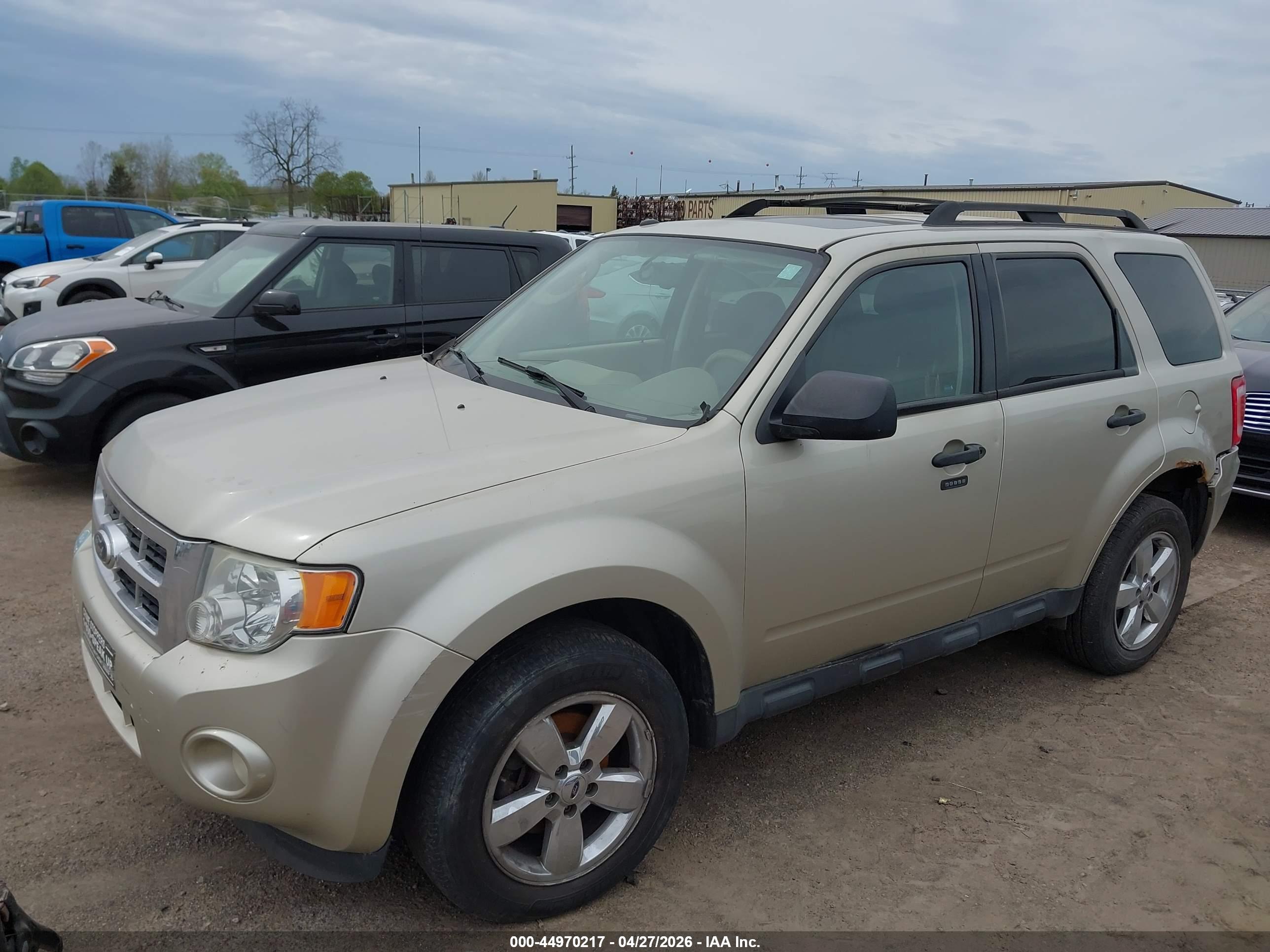 FORD ESCAPE image 2