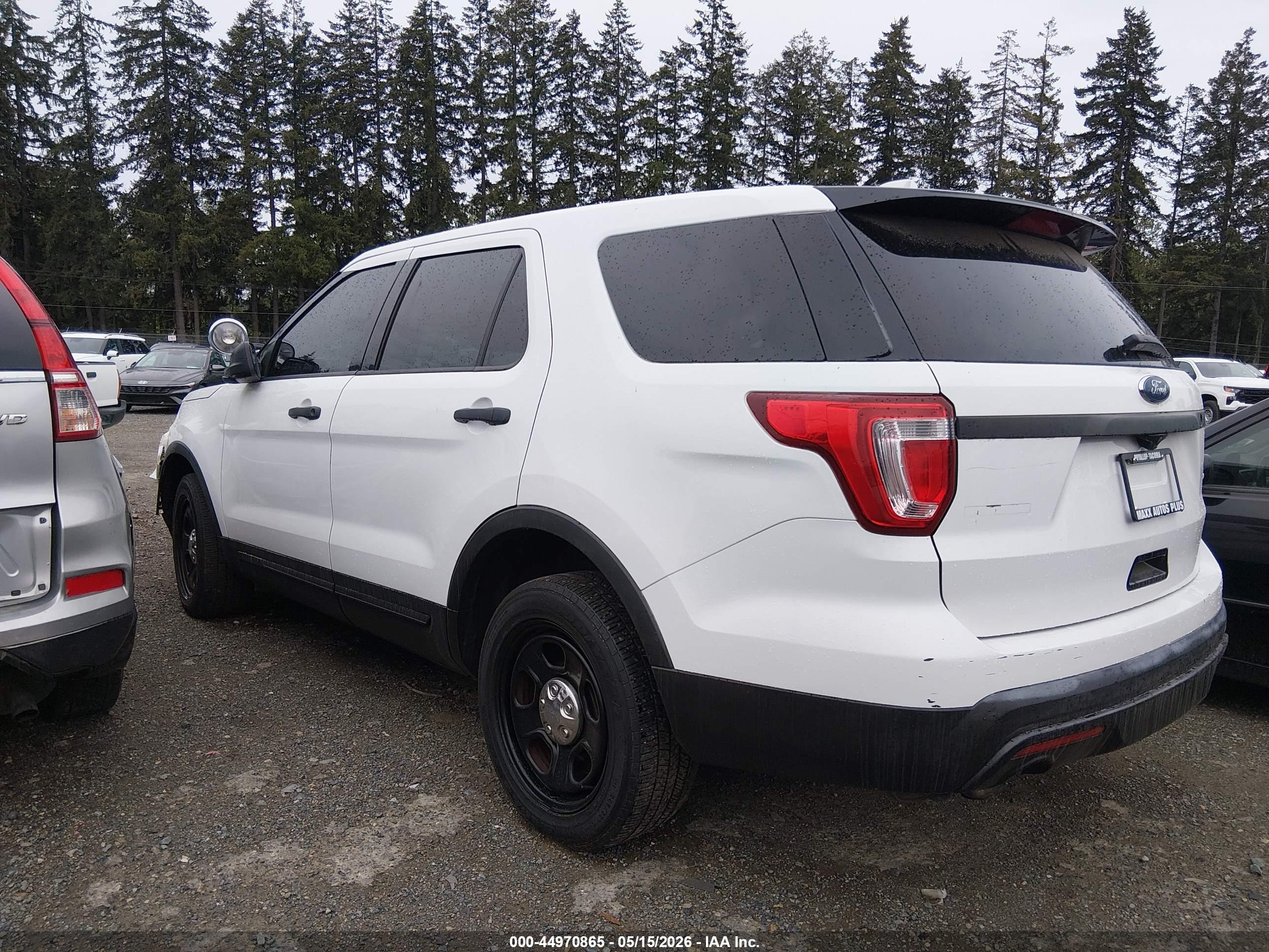 FORD UTILITY image 3