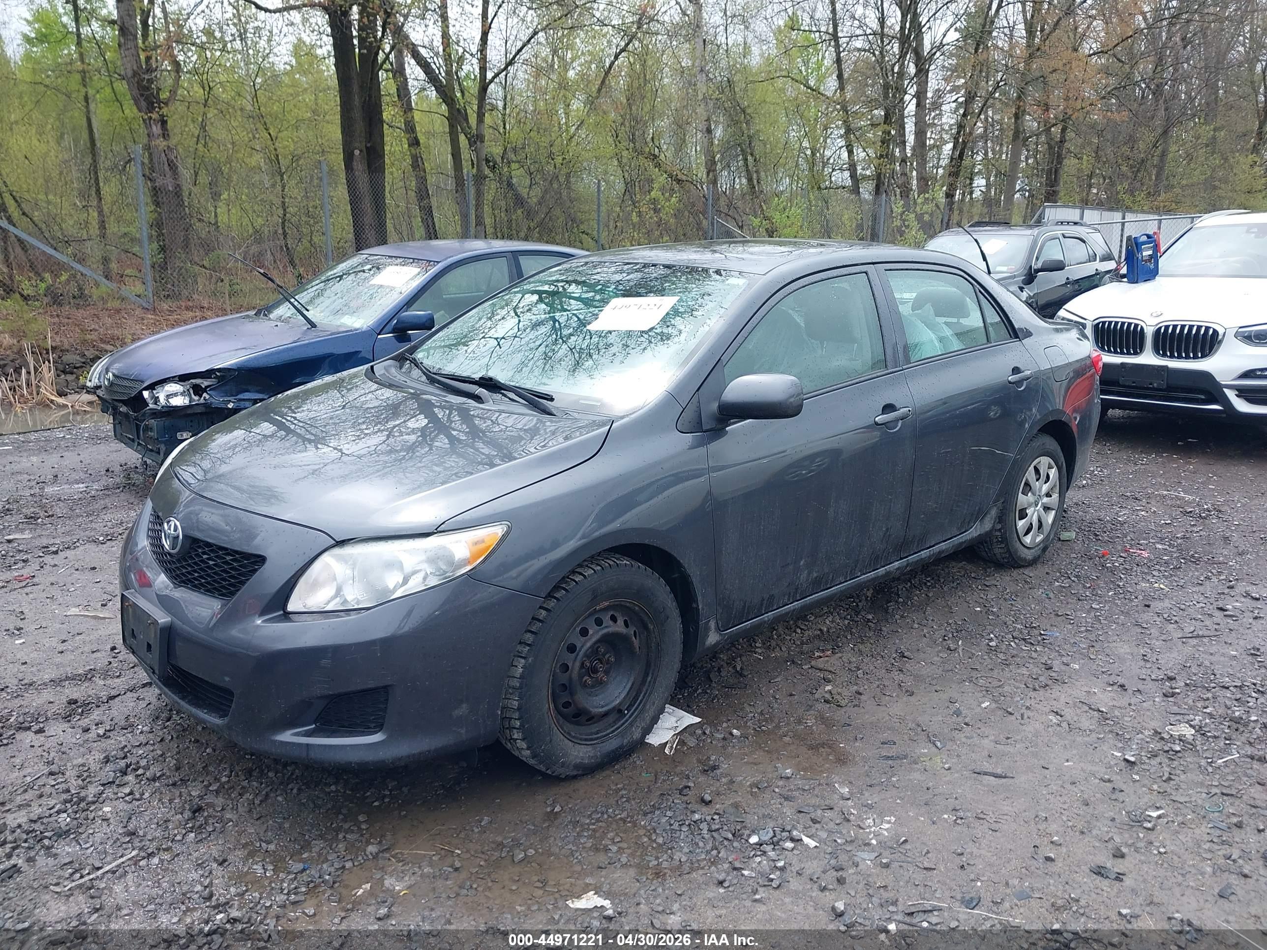 TOYOTA COROLLA image 2