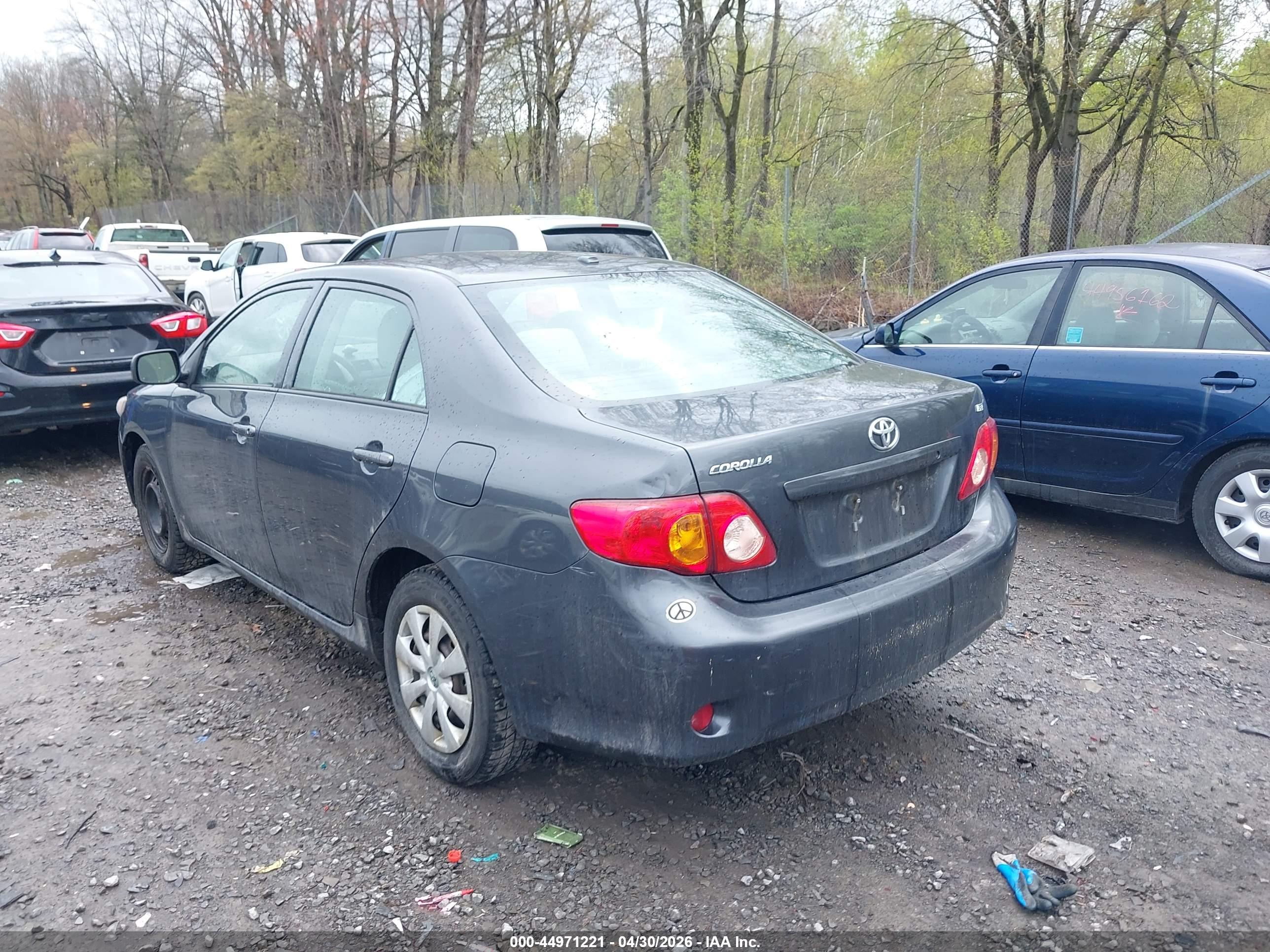 TOYOTA COROLLA image 3