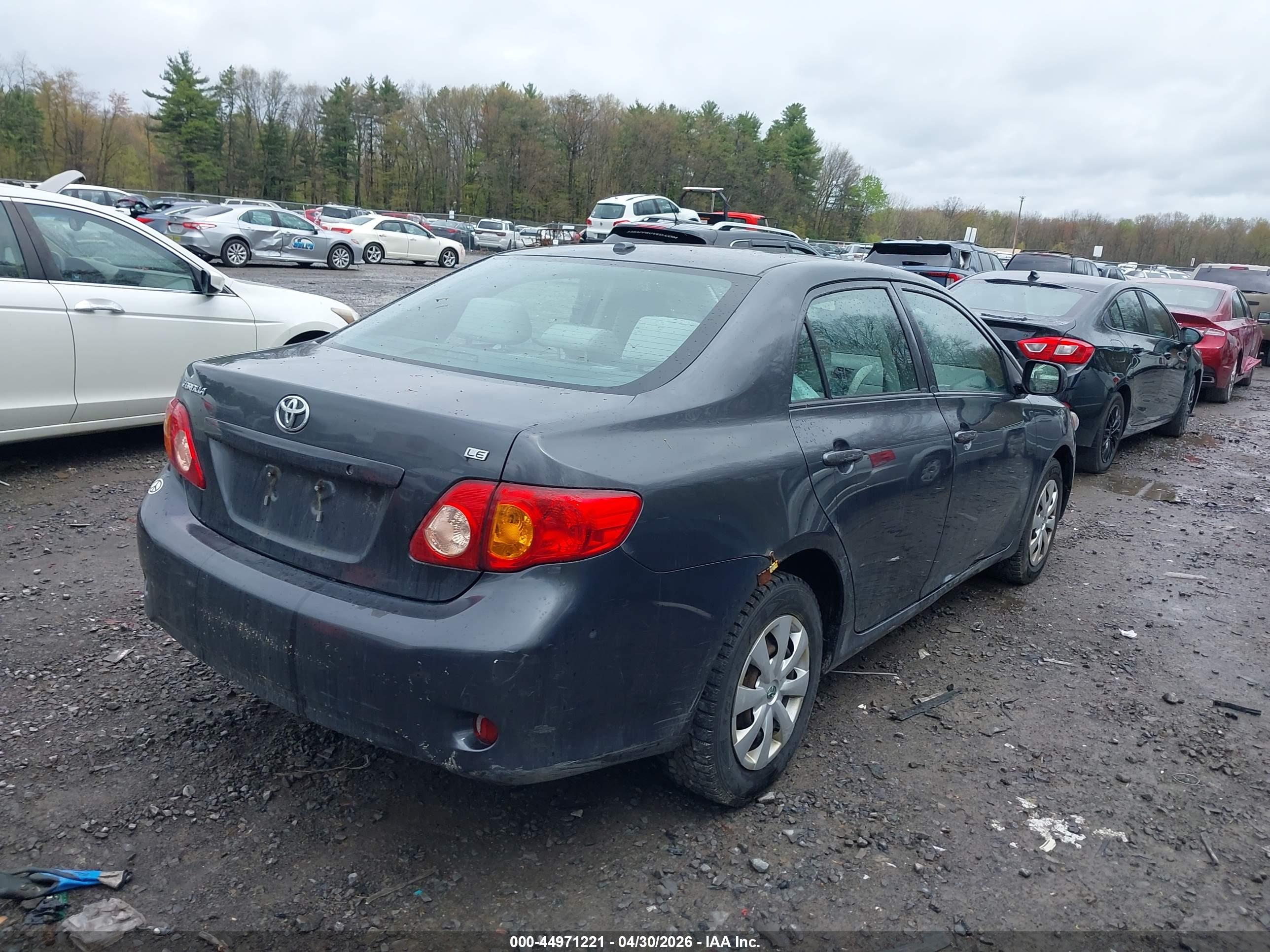 TOYOTA COROLLA image 4
